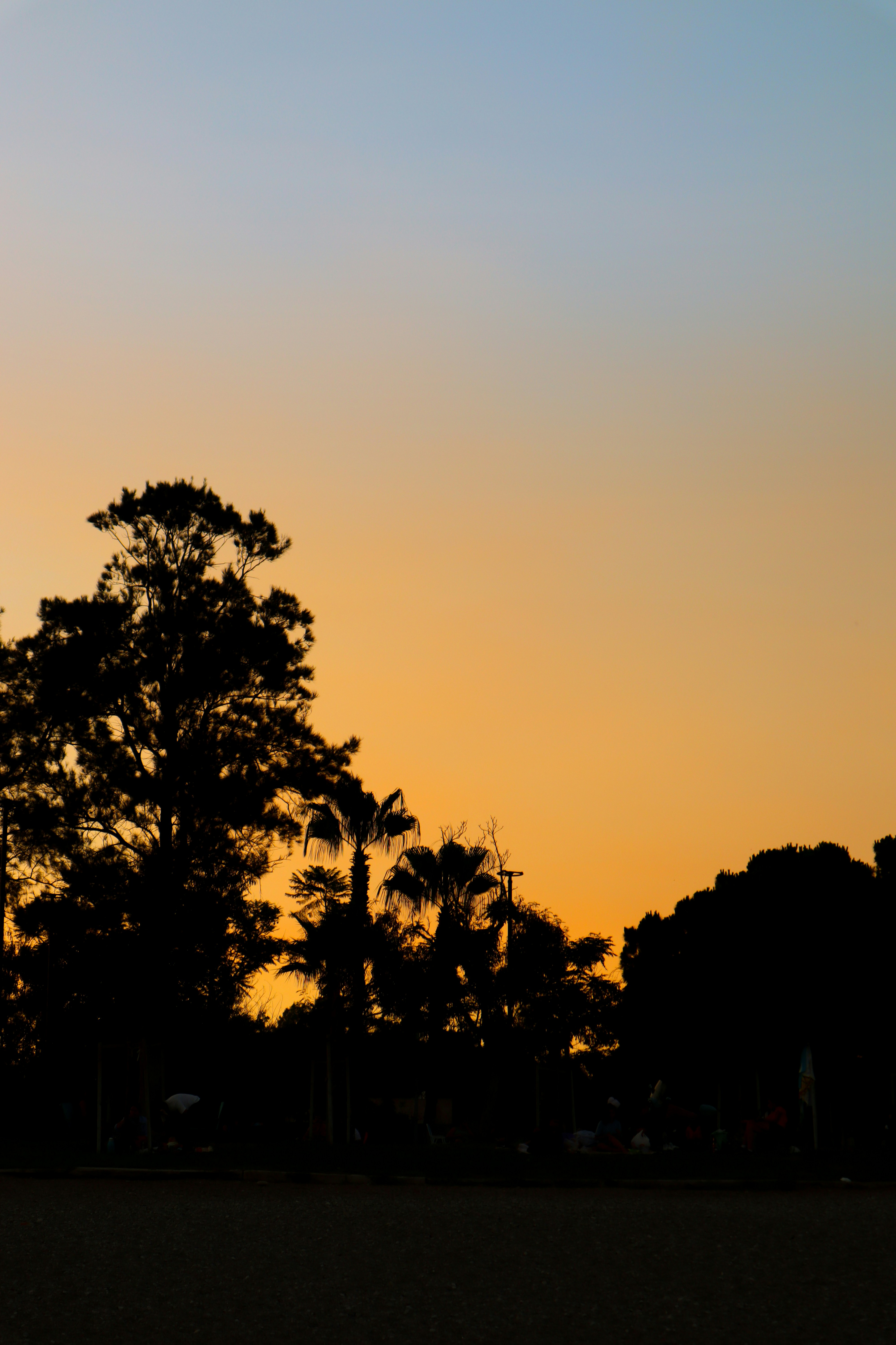 Photo by fatima_khayyat