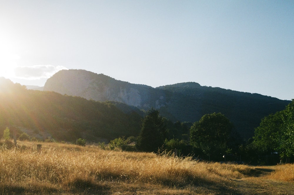 a grassy field with trees and mountains in the background