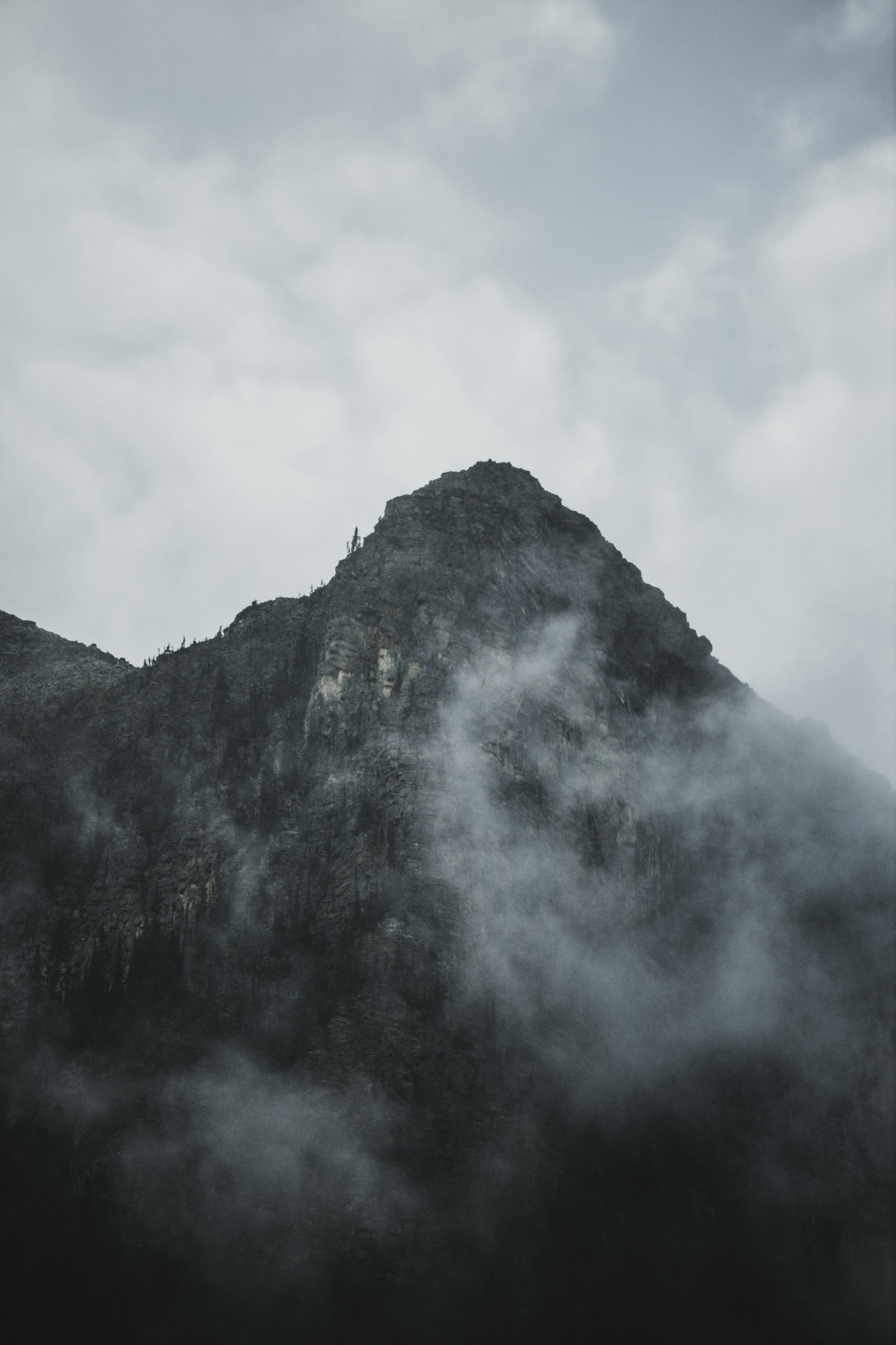 Photo by theshuttervision