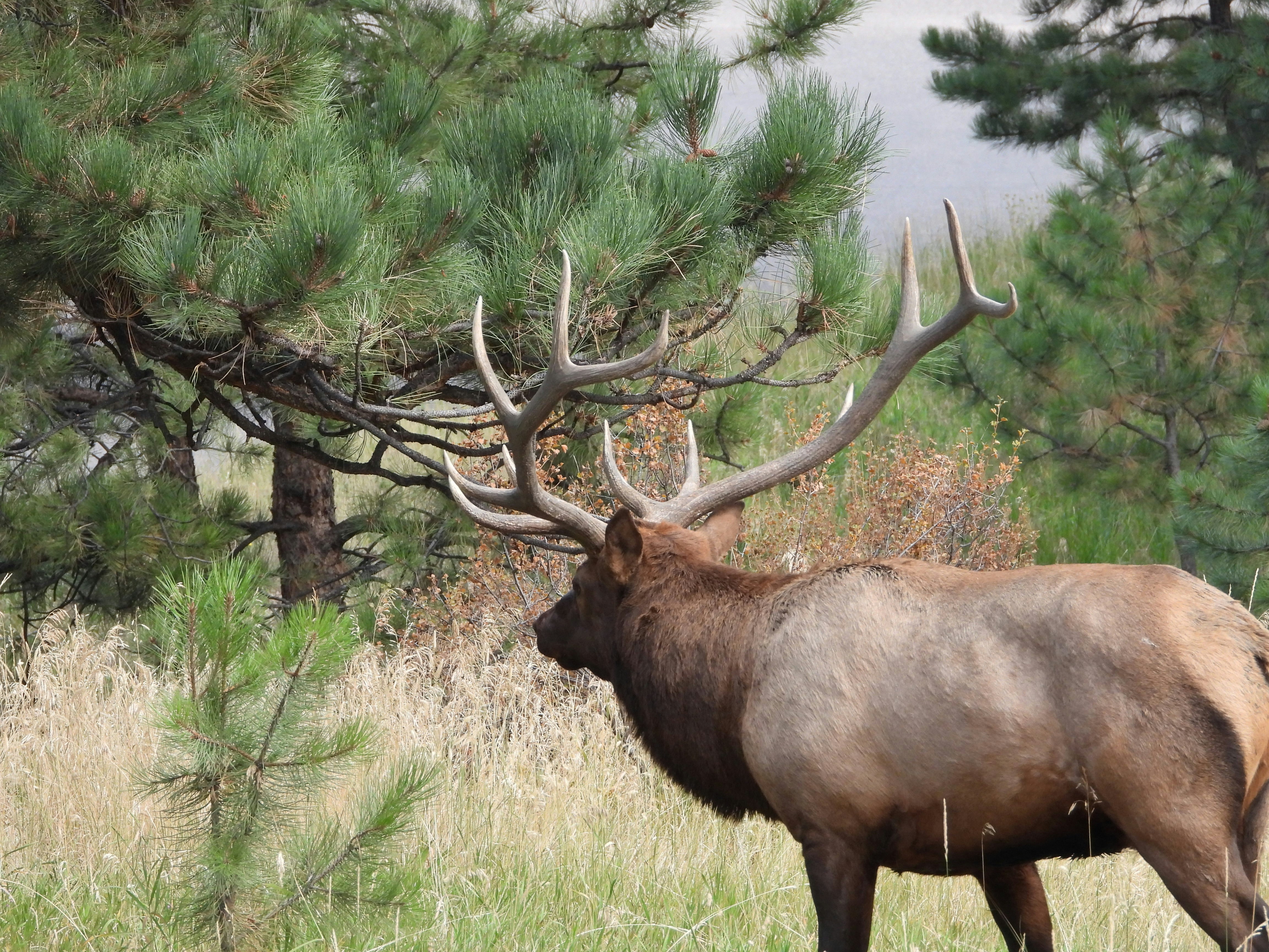 Photo by evergreene24