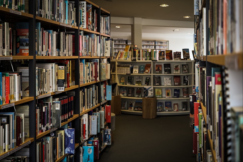 a long row of bookshelves filled with books