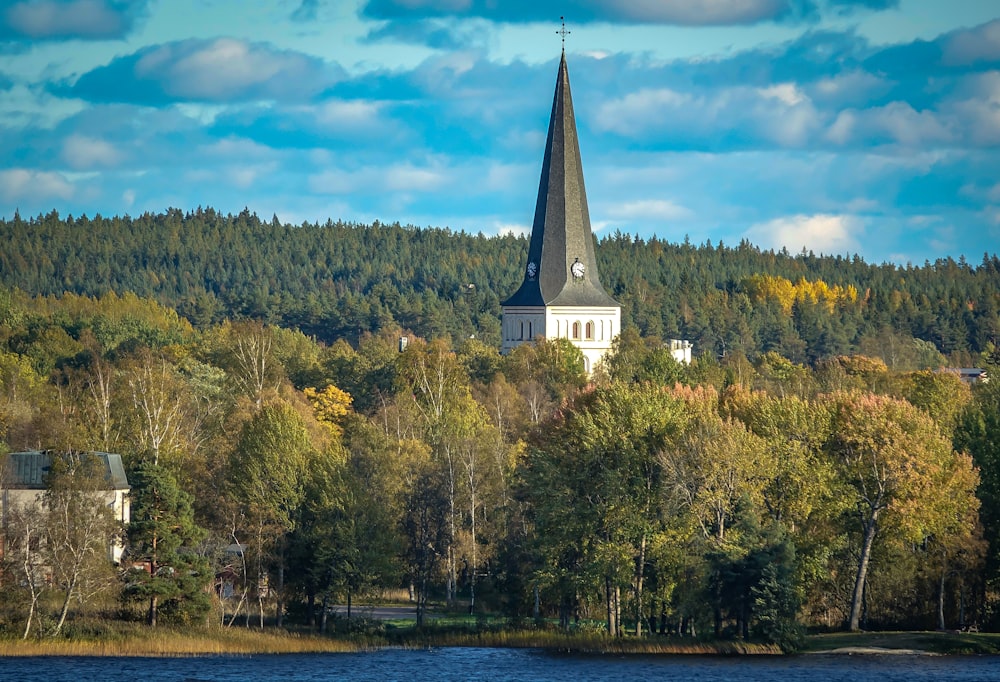 a church steeple in the middle of a forest