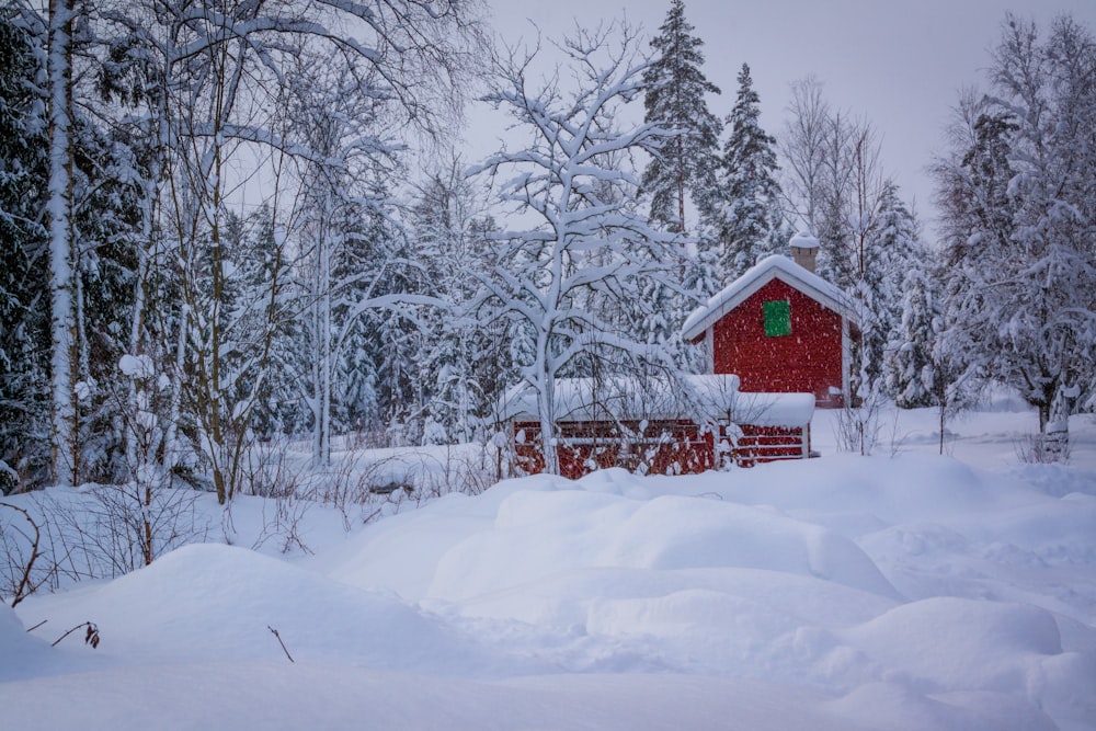 a red house in the middle of a snowy forest