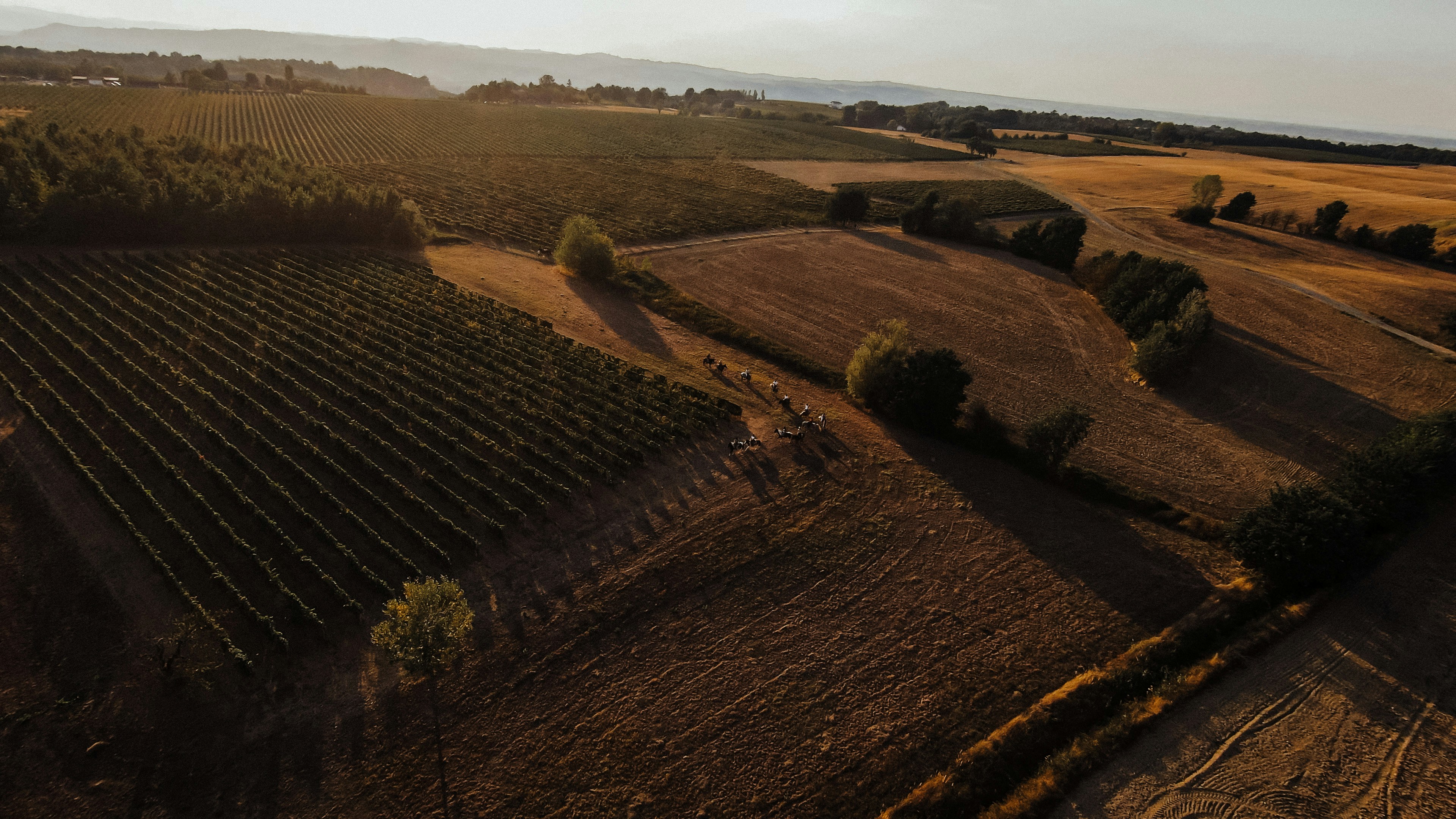 Photo by alazarferrazzini98