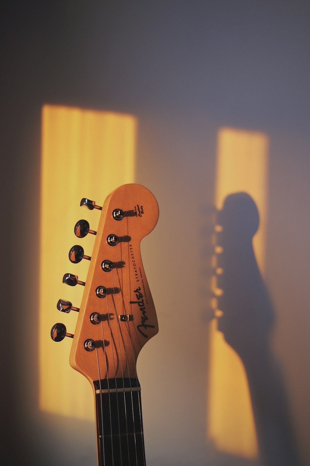 a close up of an electric guitar with a shadow on the wall