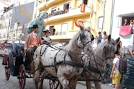 A team of Percheron horses pulling a traditional carriage during a local festival.