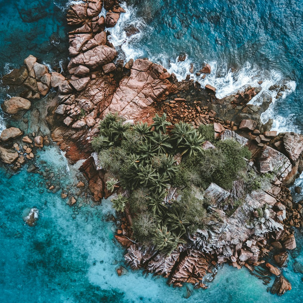 an aerial view of a rocky beach with palm trees