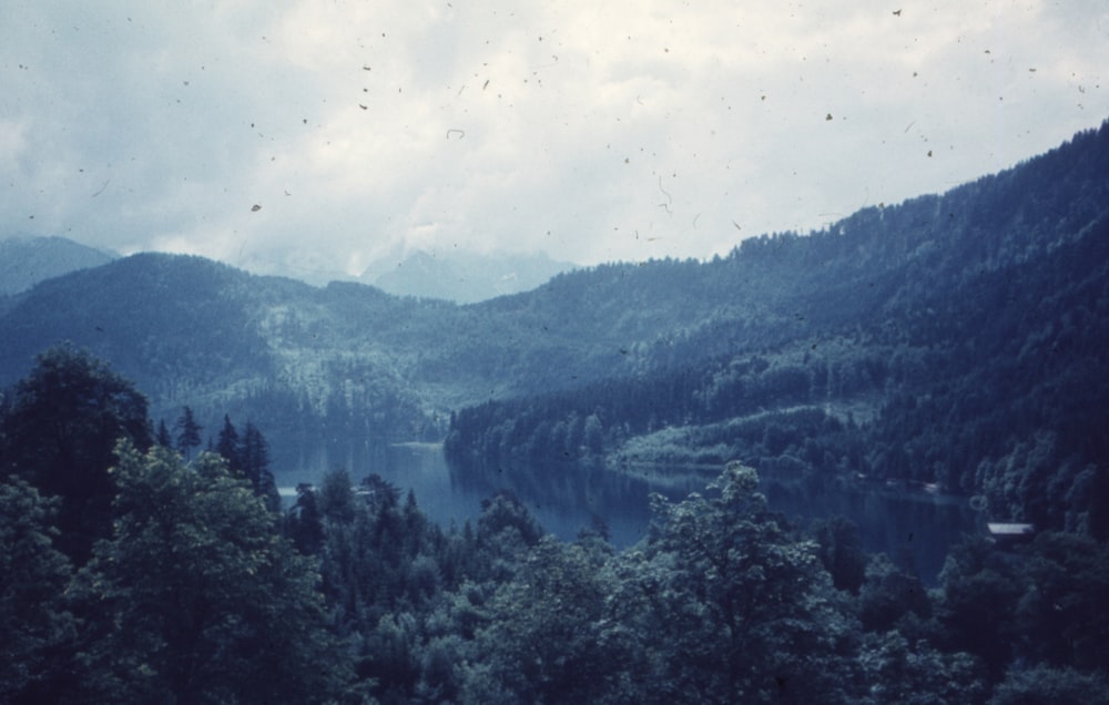 a view of a lake in the middle of a forest