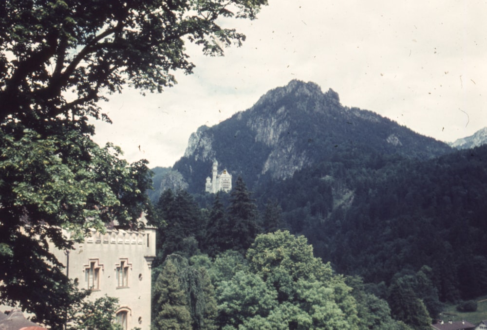 Un castillo en medio de un bosque