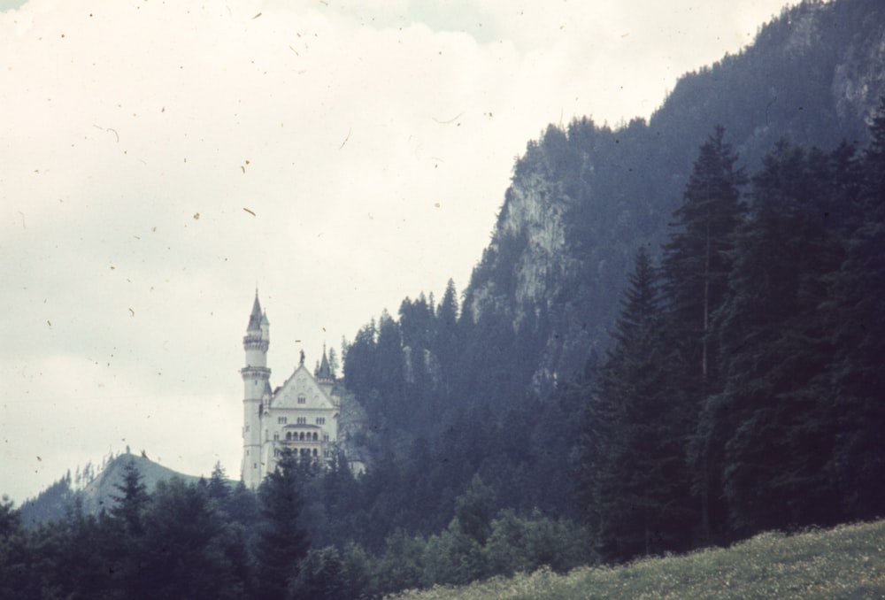 a castle in the middle of a forest