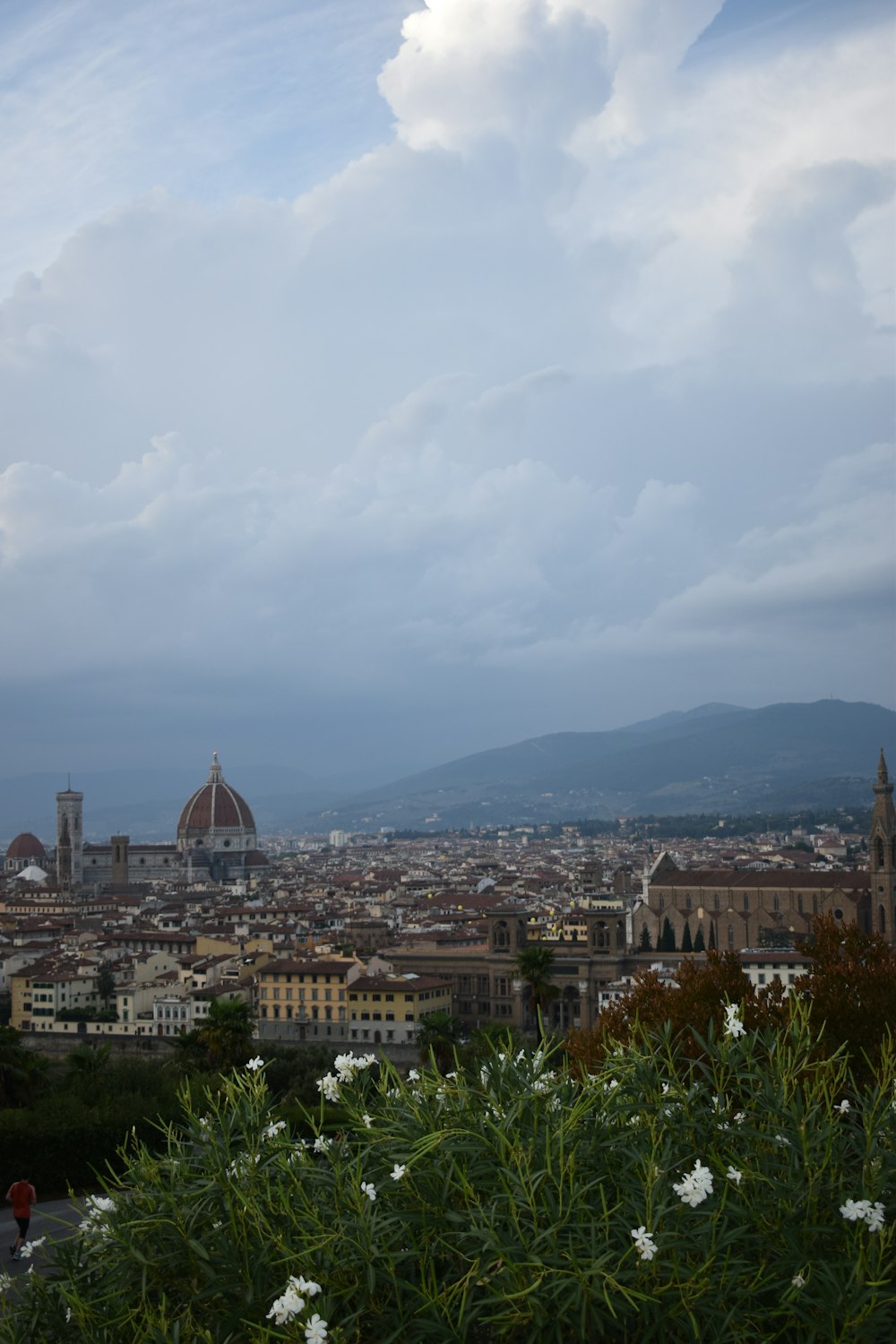 a view of a city from the top of a hill