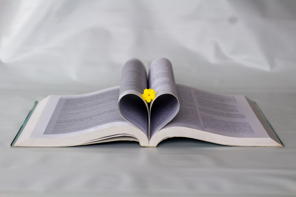 an open book with a yellow flower sticking out of it