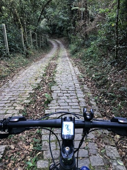 View from a bicycle handlebar on a cobblestone path winding through a lush green forest. The path is narrow, lined with trees and foliage, creating a sense of immersion in nature. The bike's display screen and handlebars are visible, indicating a focus on cycling.