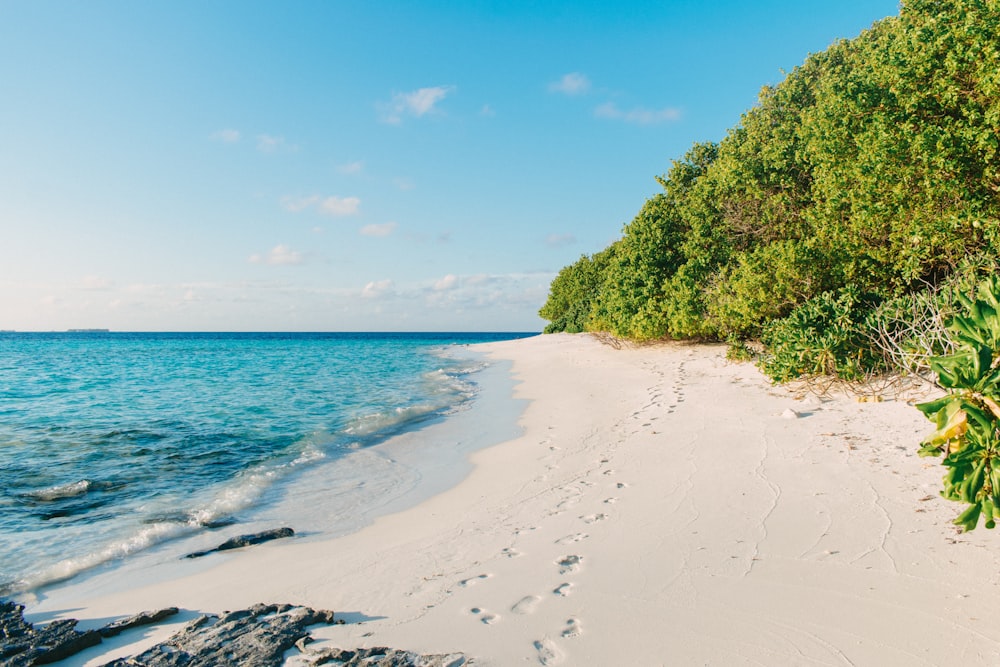 a sandy beach with a few footprints in the sand