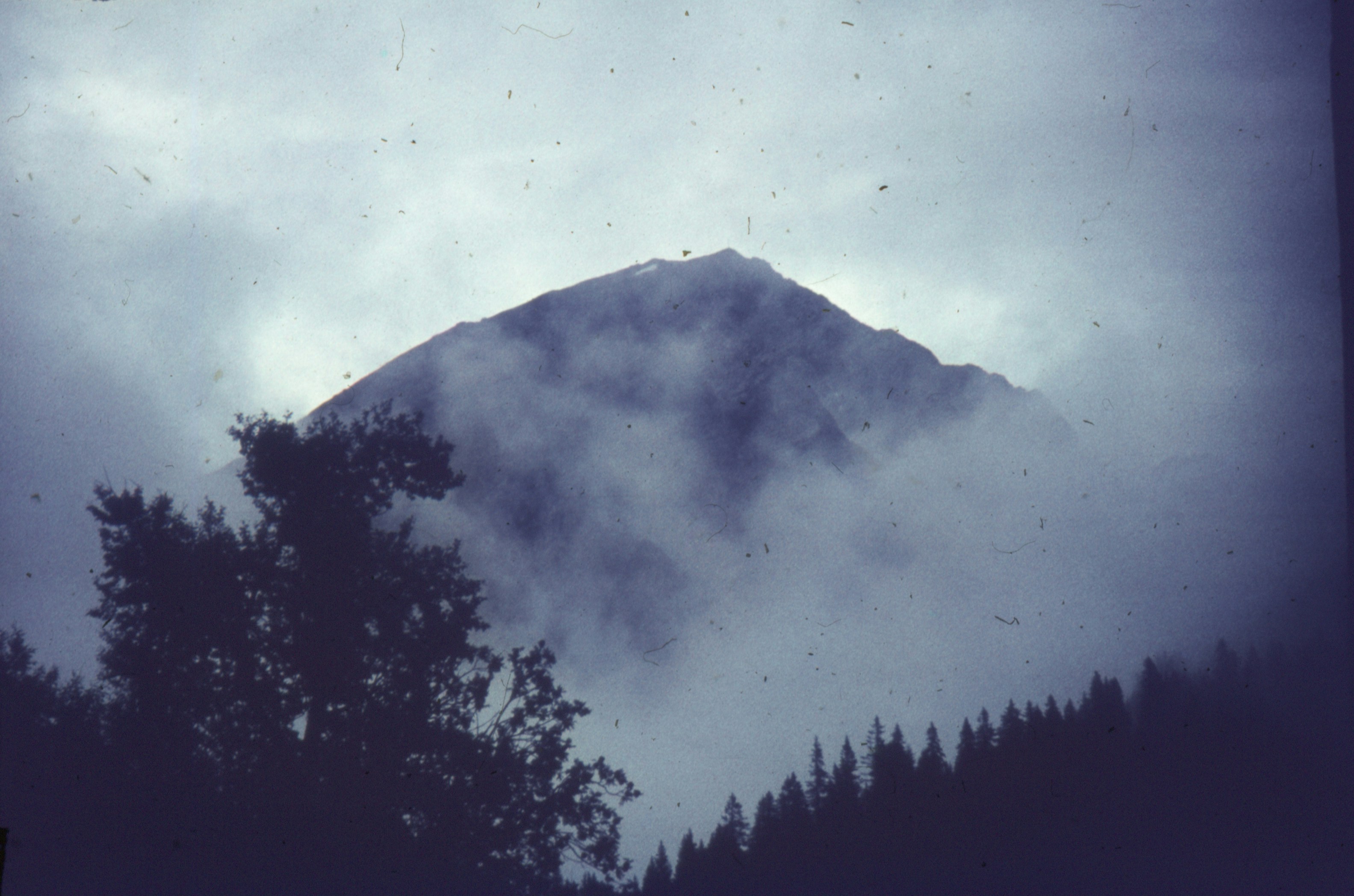 Photo by anniespratt