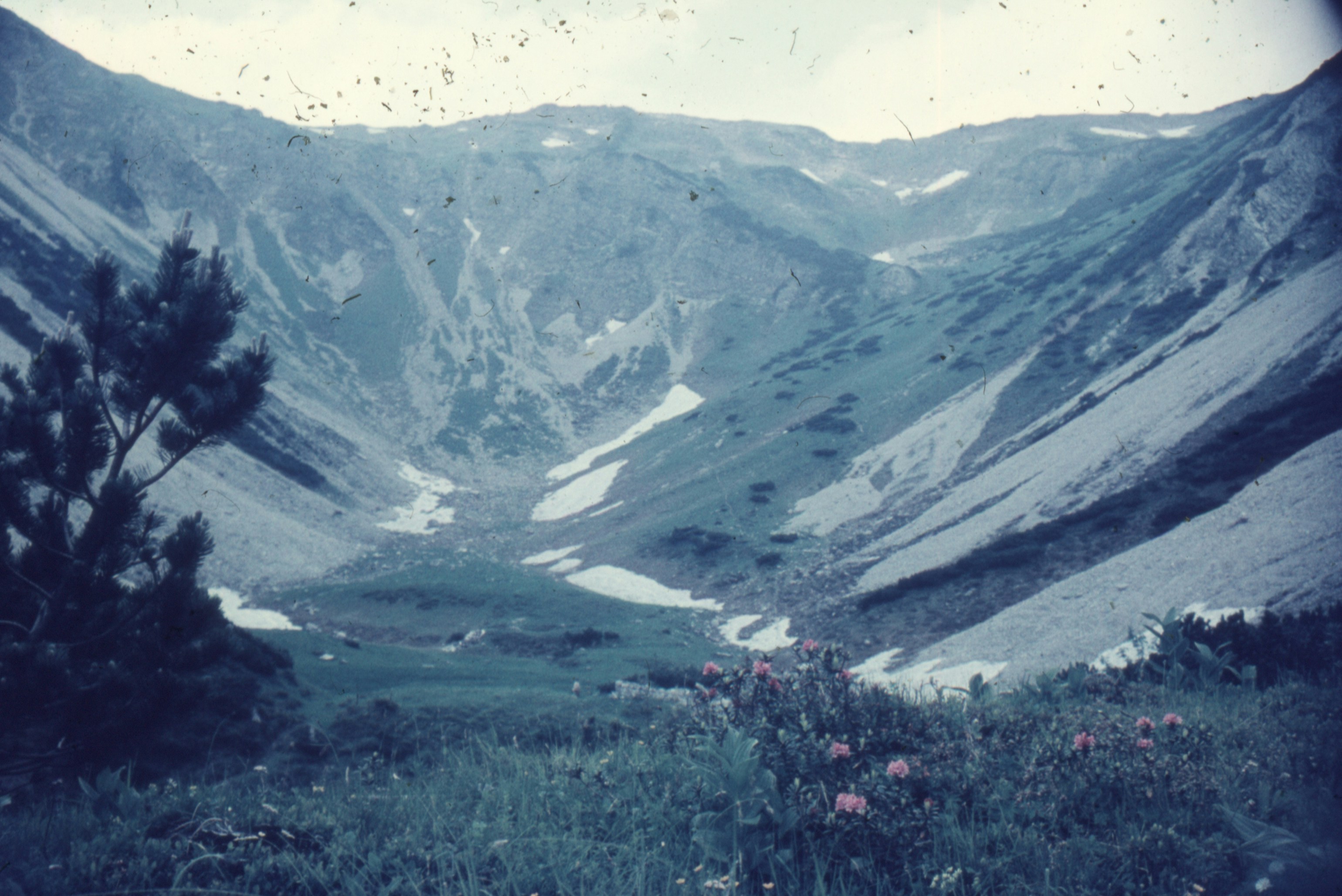 Photo by anniespratt