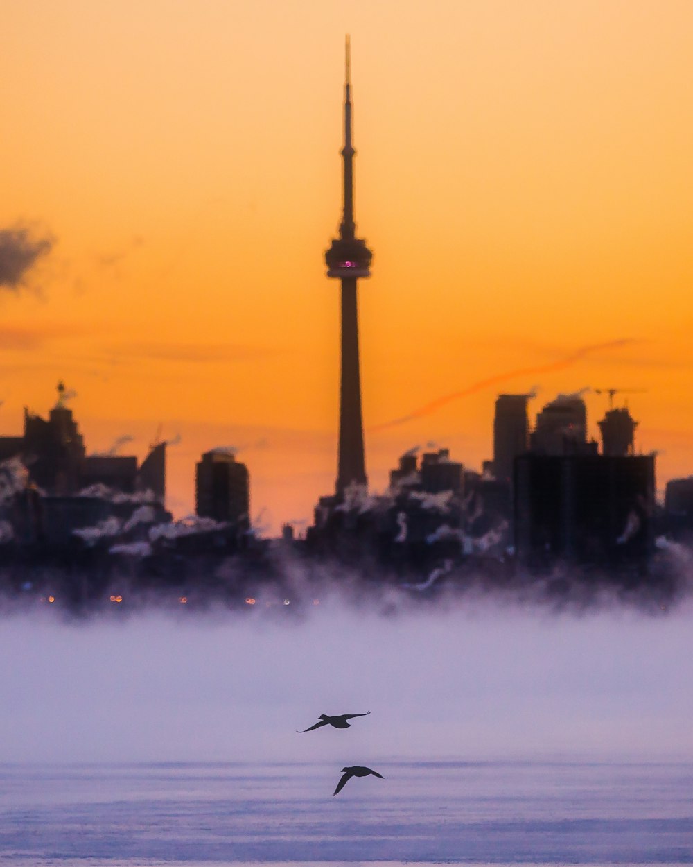 a couple of birds flying over a body of water