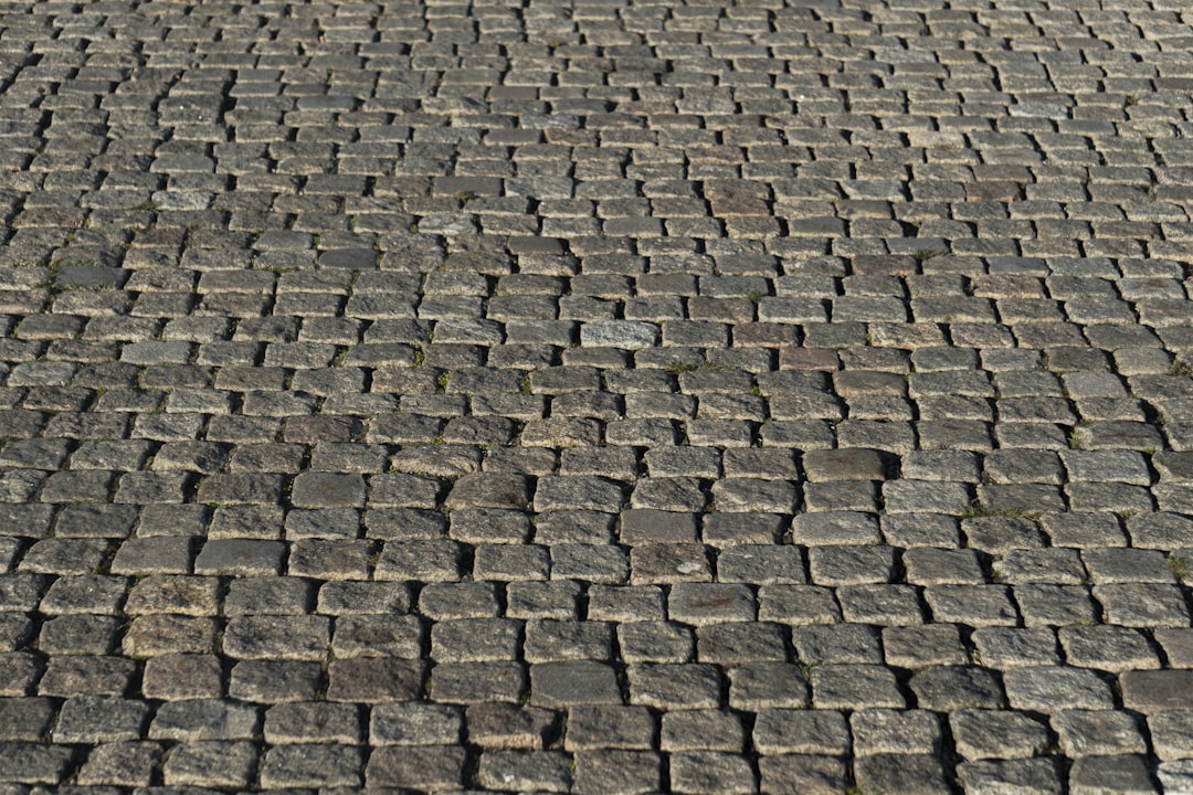 a black and white cat laying on a brick road,