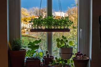 a person sitting in front of a window