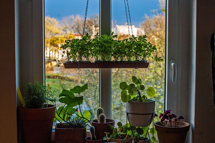 a person sitting in front of a window