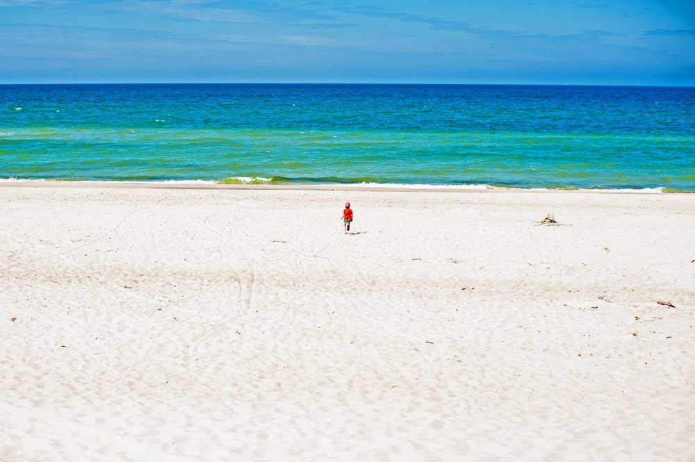 a person standing on a beach near the ocean