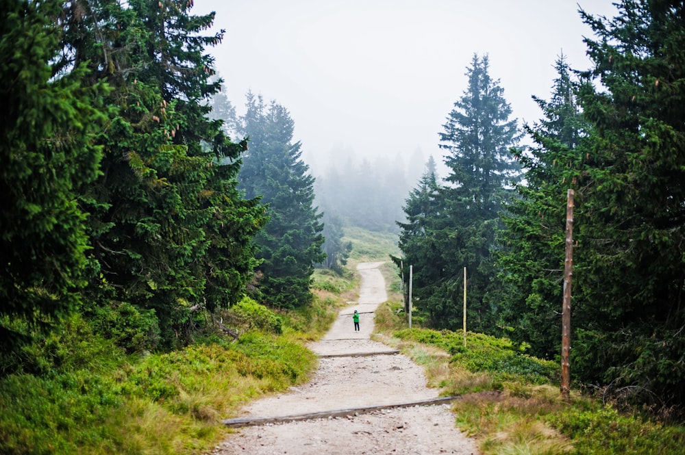 a person walking down a dirt road surrounded by trees