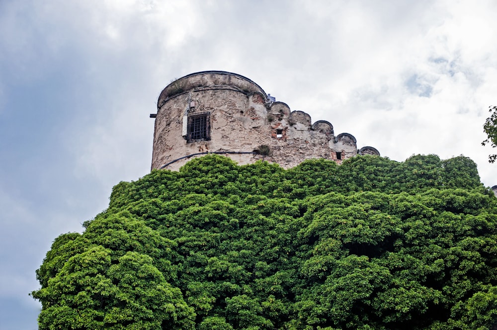 a very tall tower with a bunch of trees on top of it