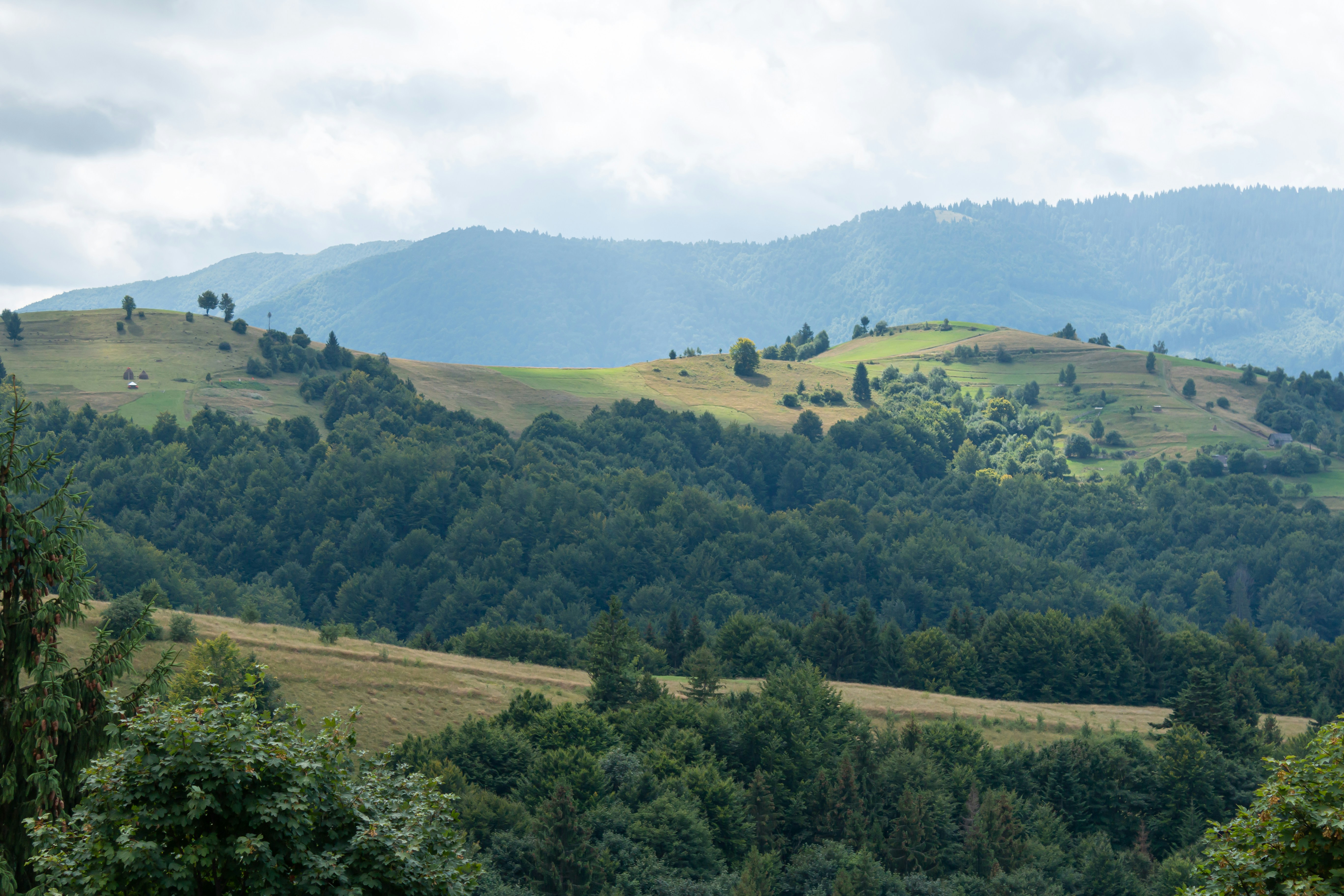 Photo by milohrodskyi