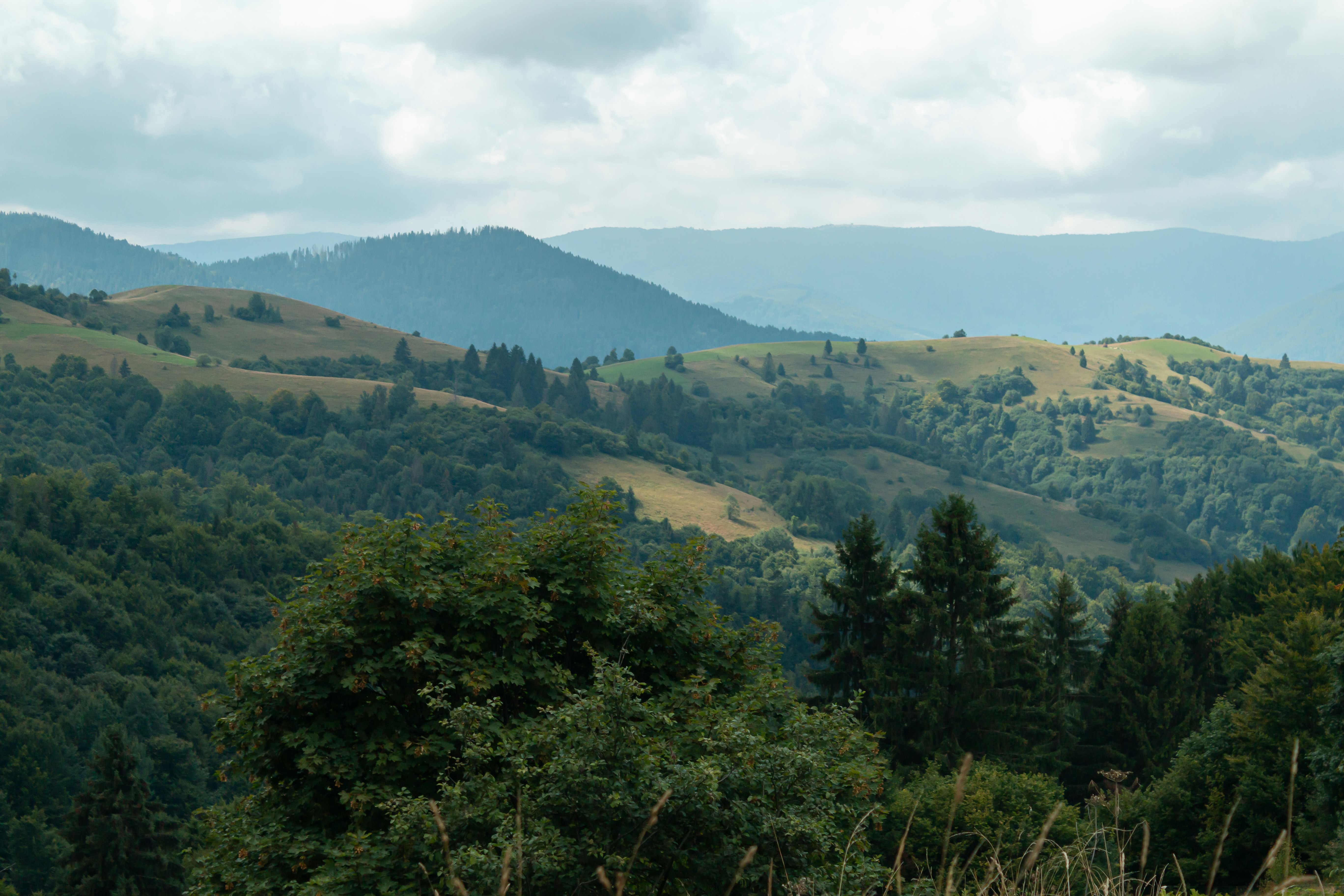 Photo by milohrodskyi