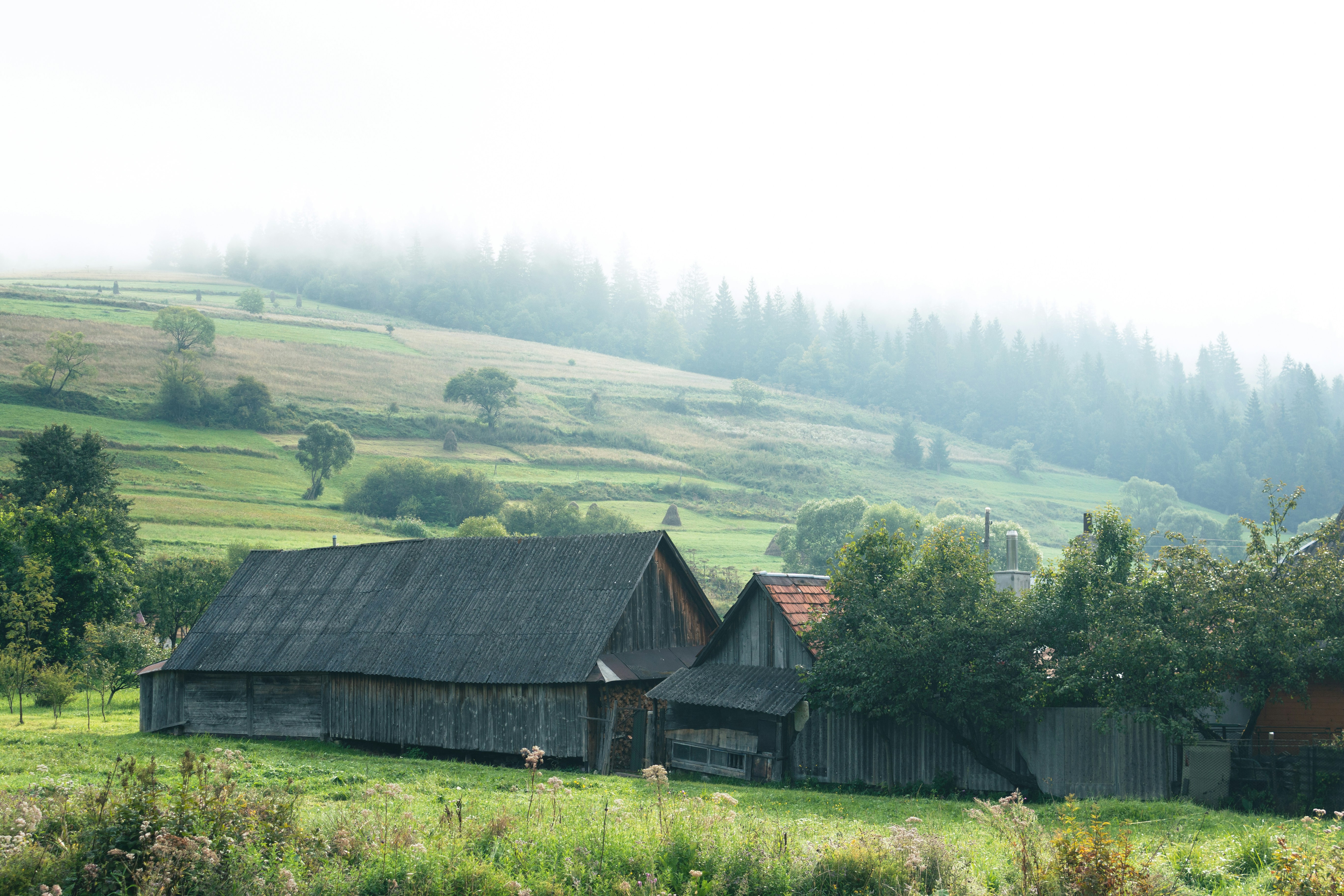 Photo by milohrodskyi