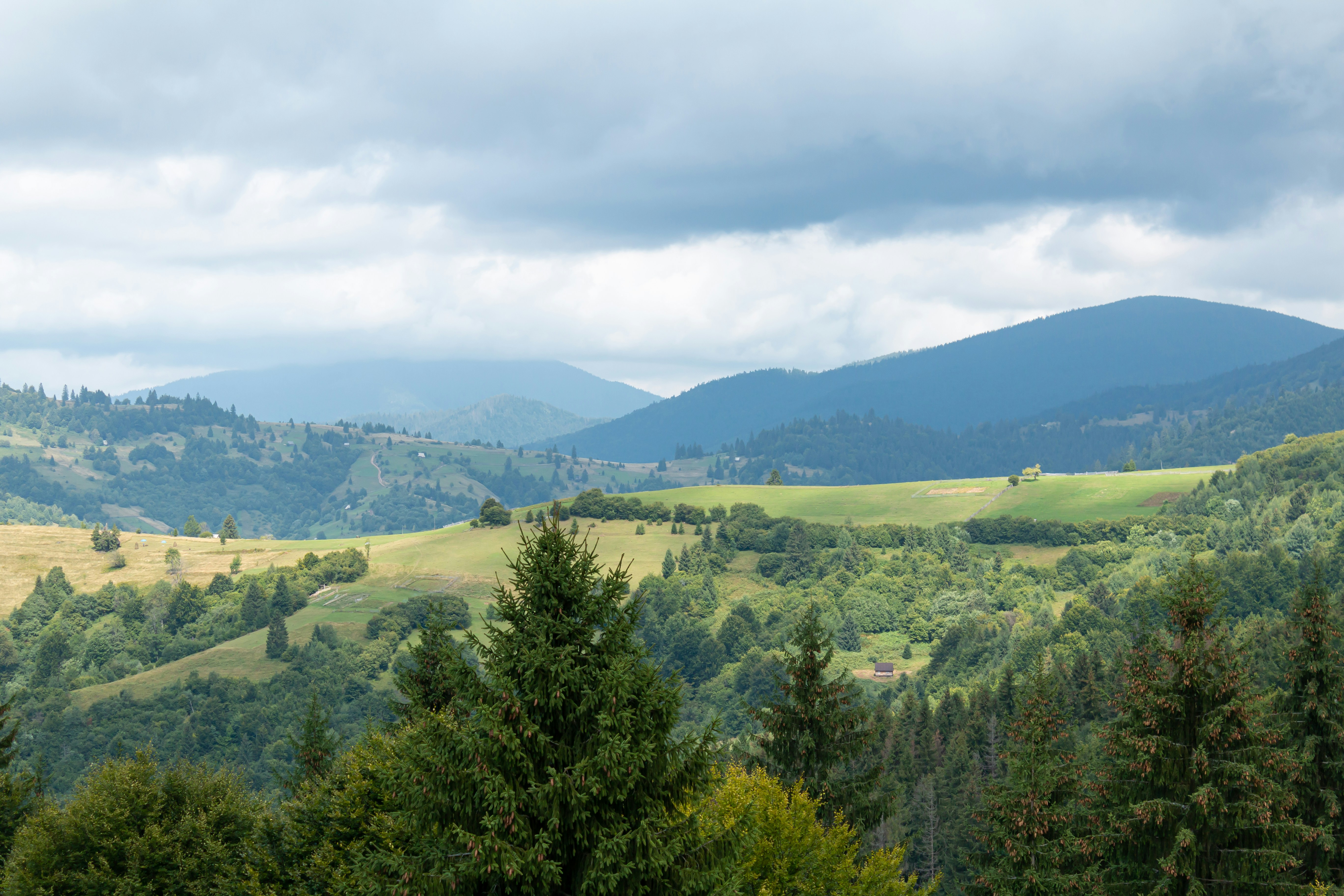 Photo by milohrodskyi