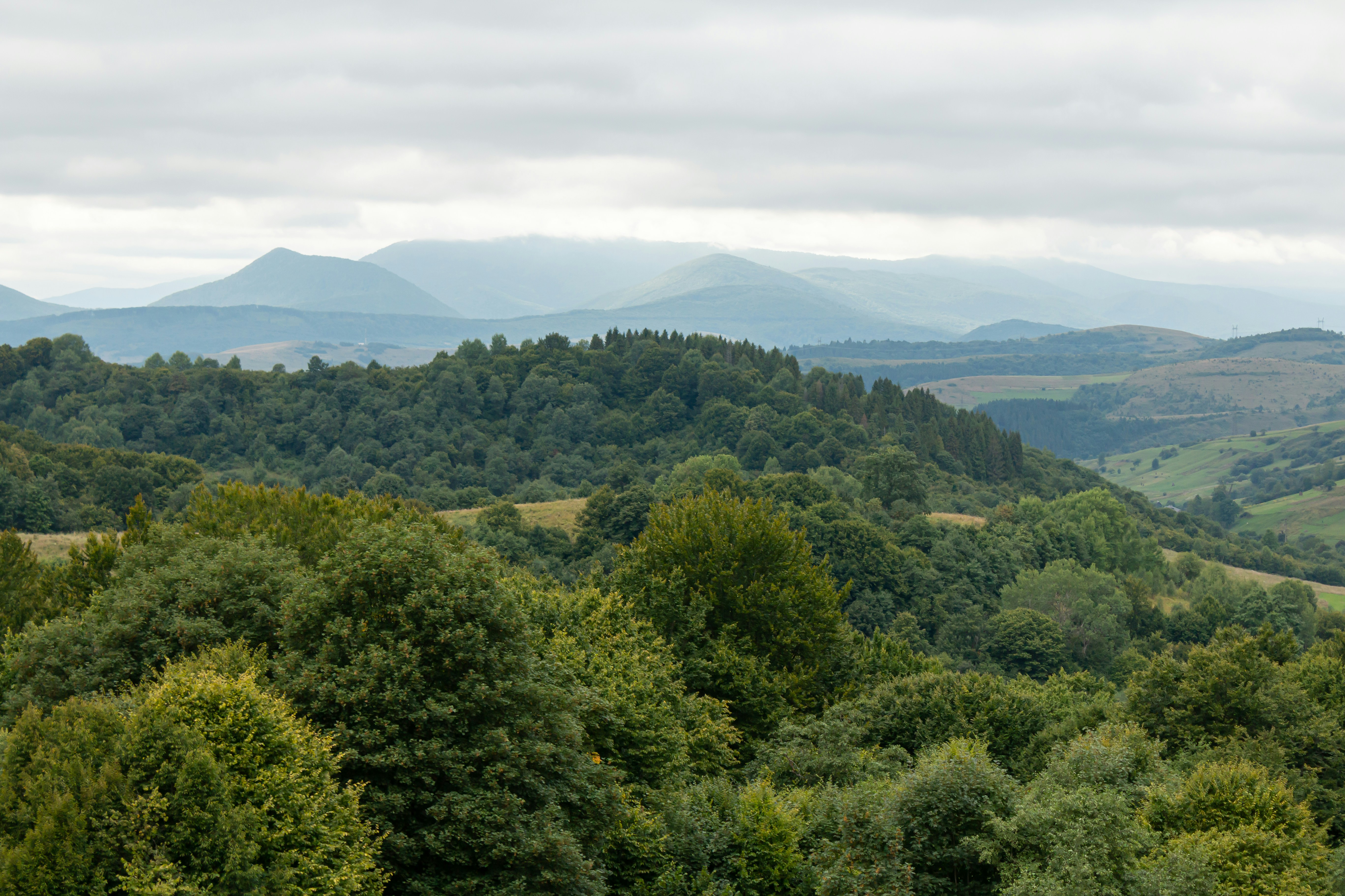 Photo by milohrodskyi