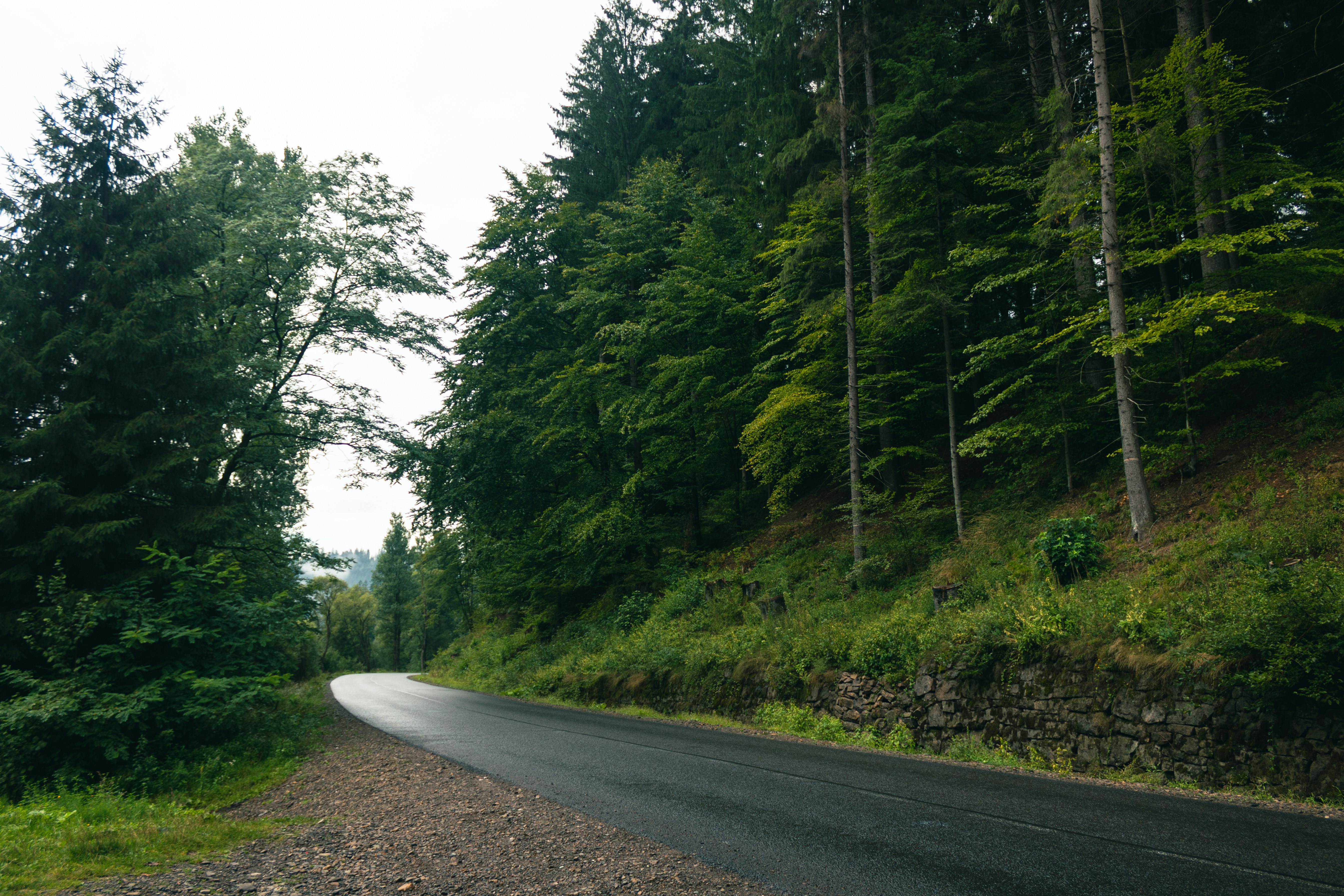 Photo by milohrodskyi