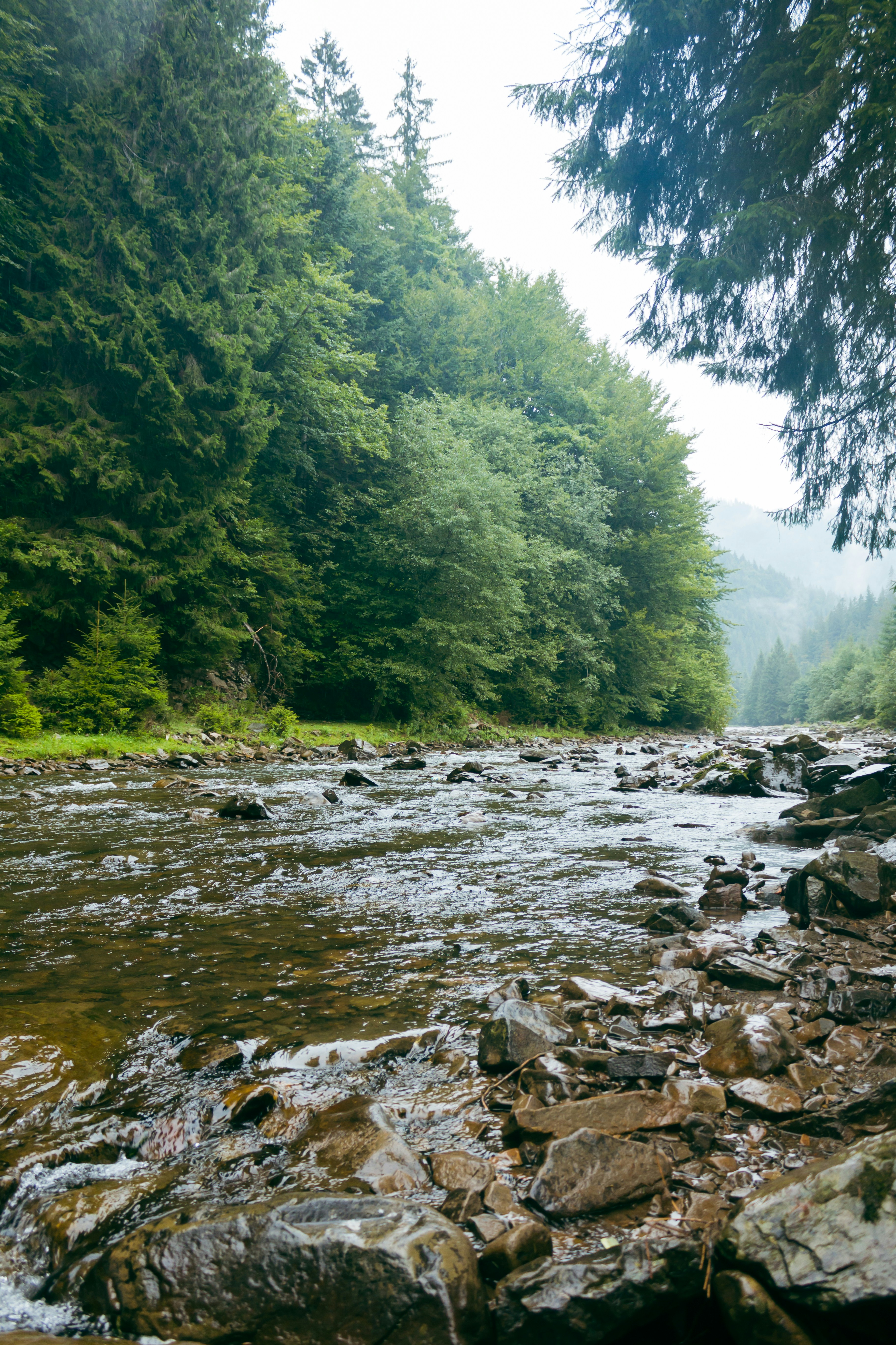 Photo by milohrodskyi