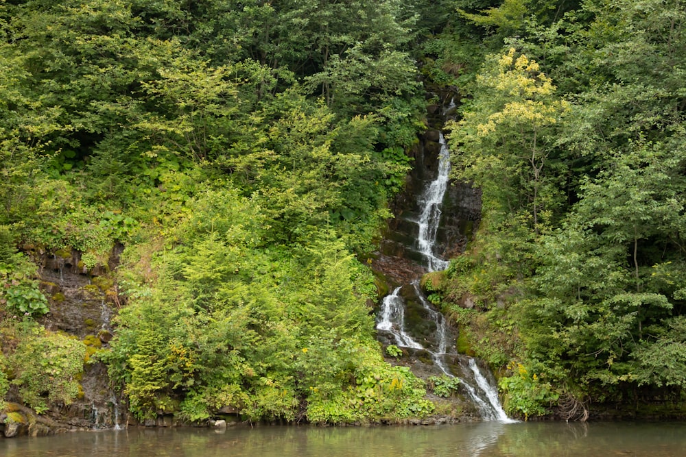 a waterfall in the middle of a forest