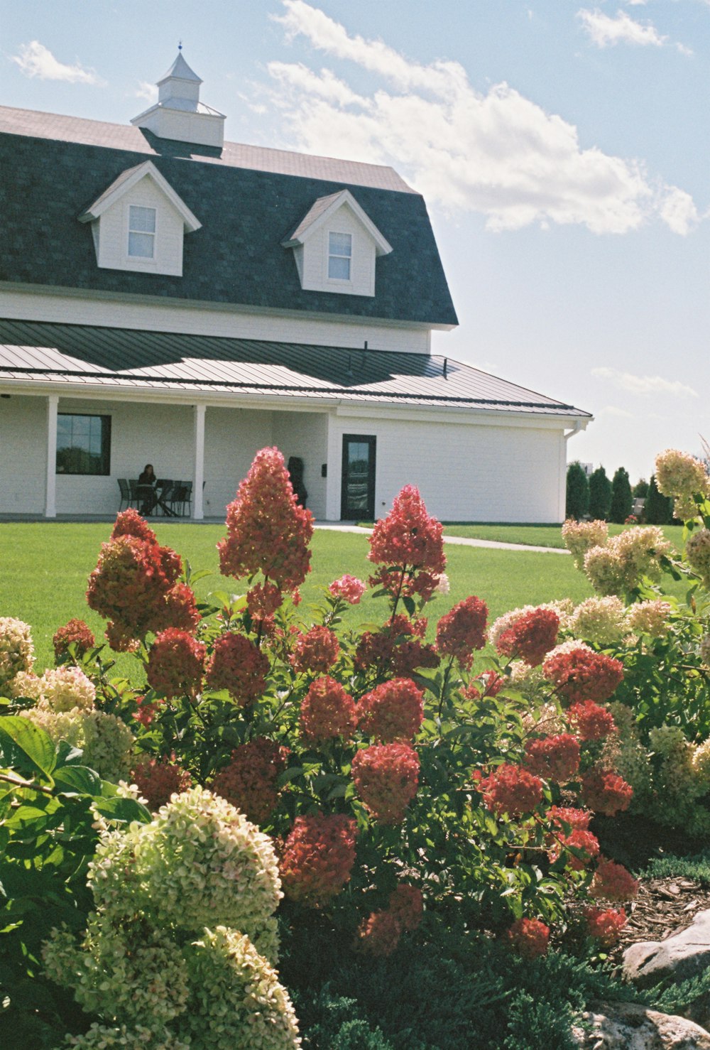 잔디밭과 꽃이있는 집