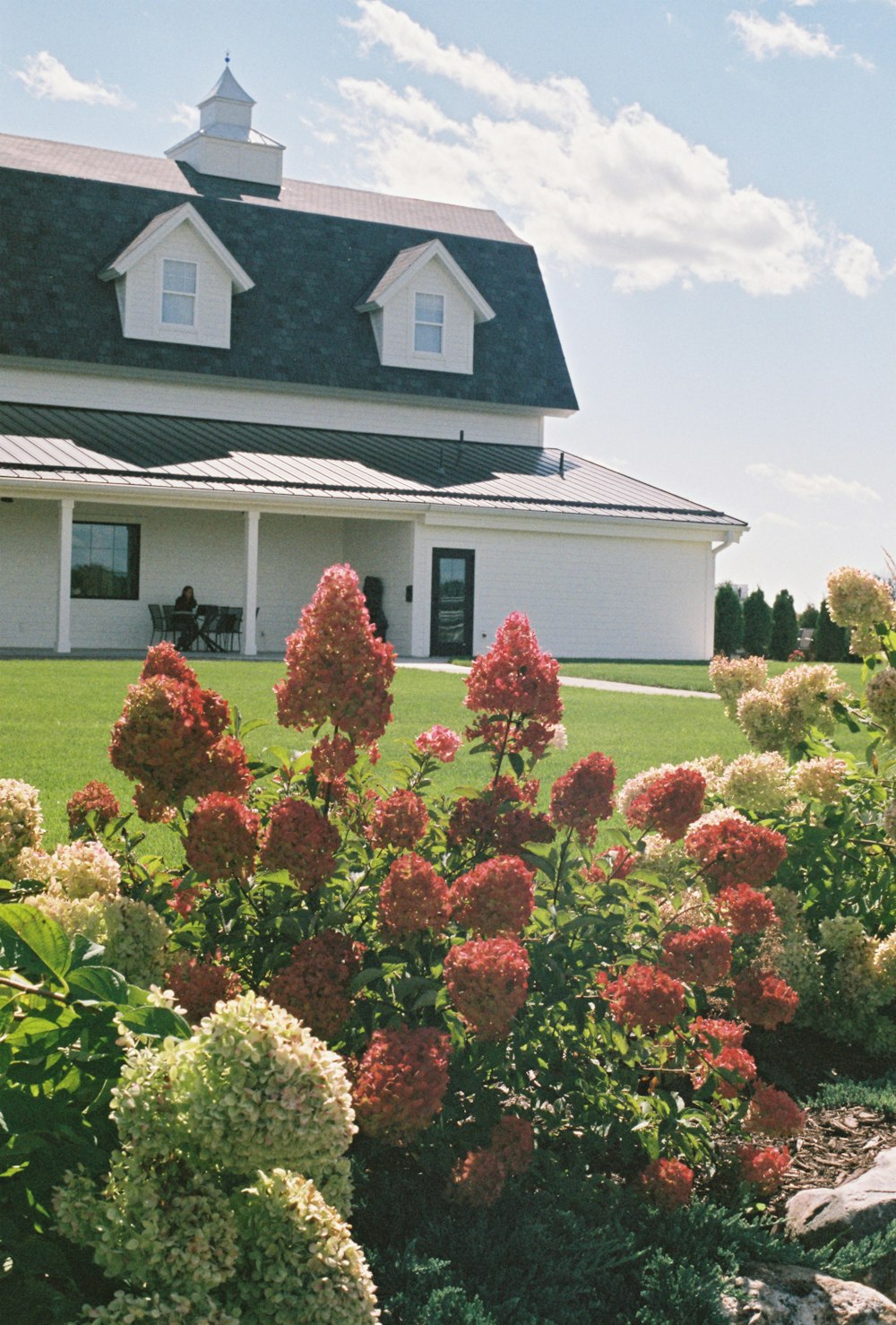 a house with a lawn and flowers in front of it