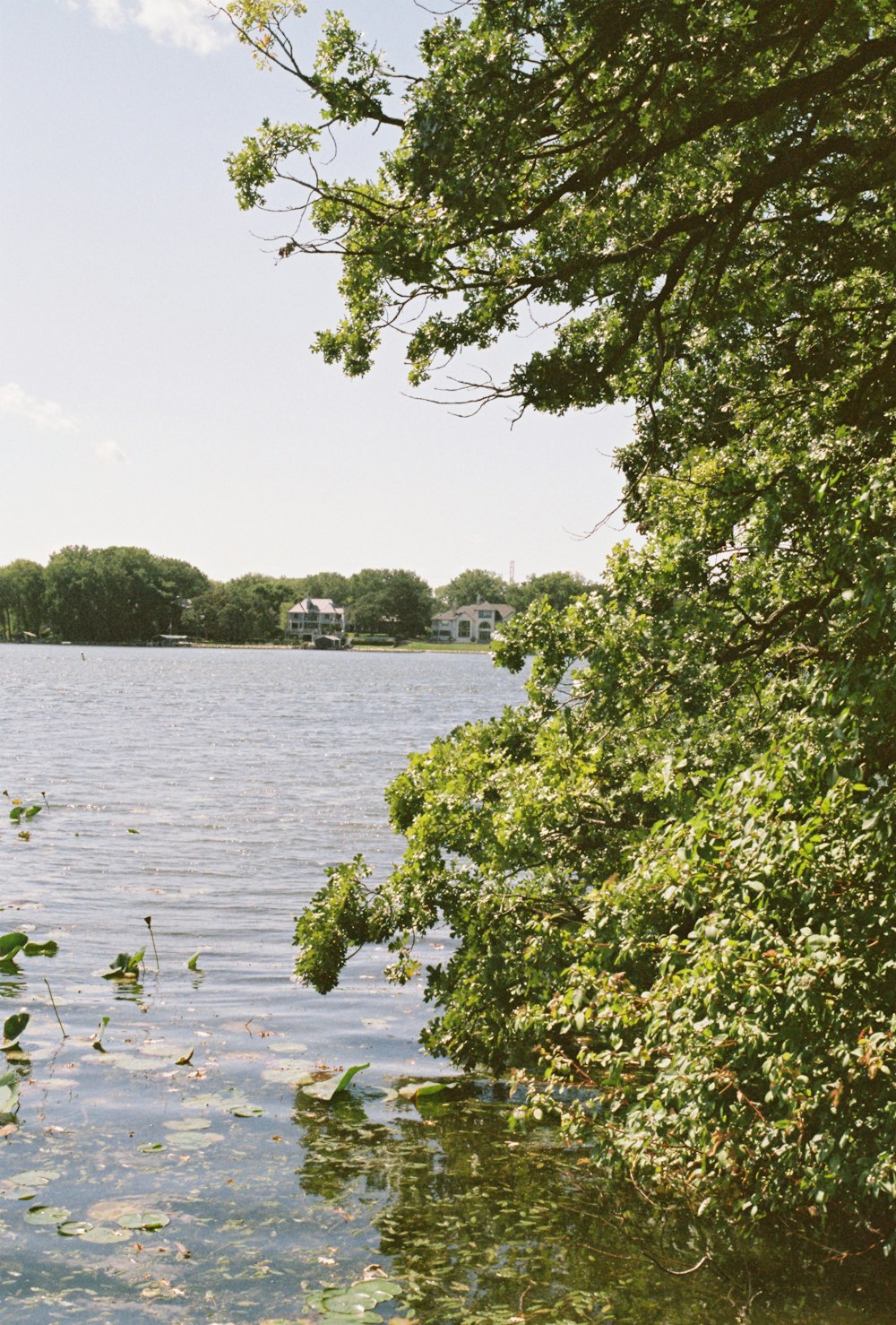 a body of water surrounded by trees and houses