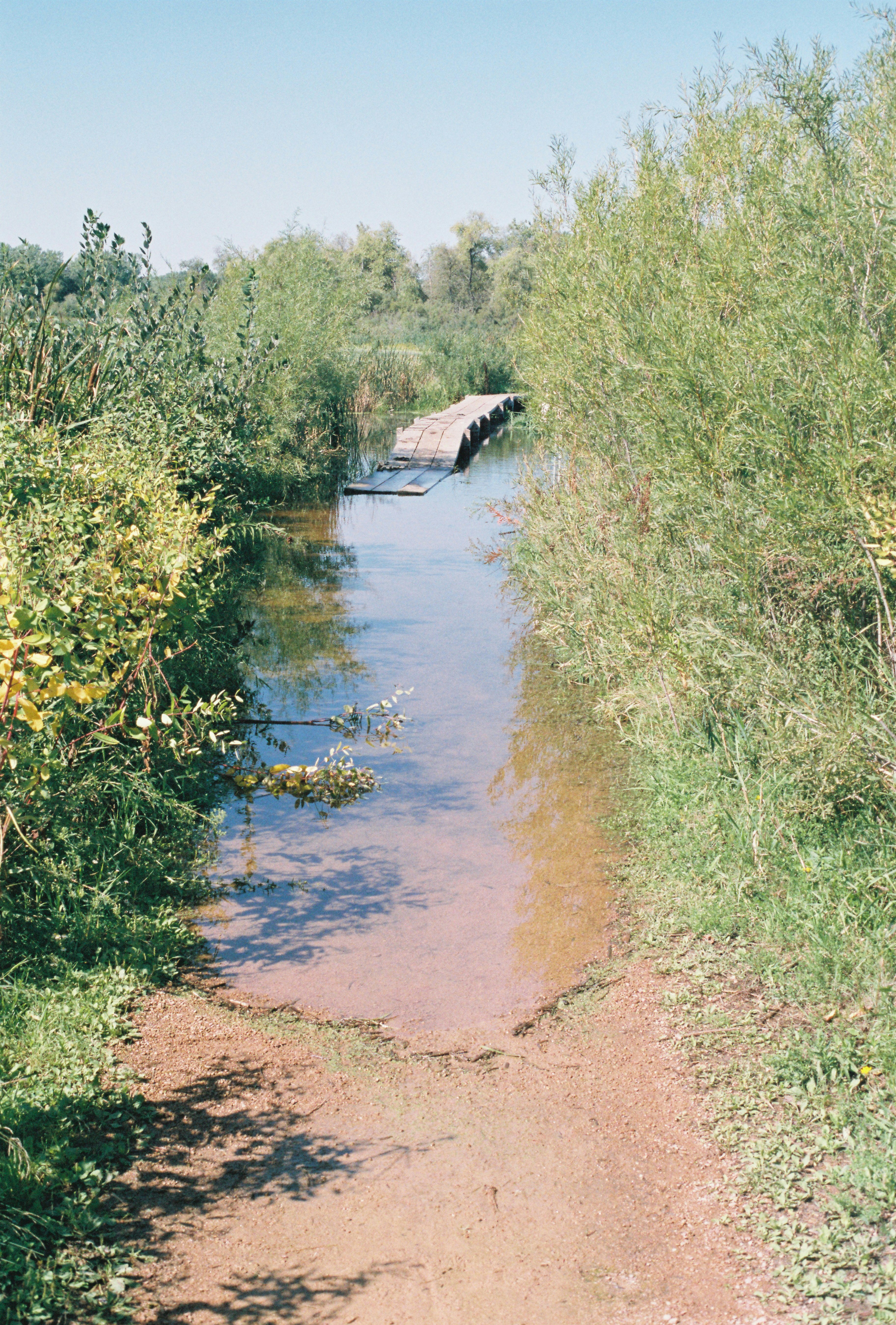 Photo by davispatton