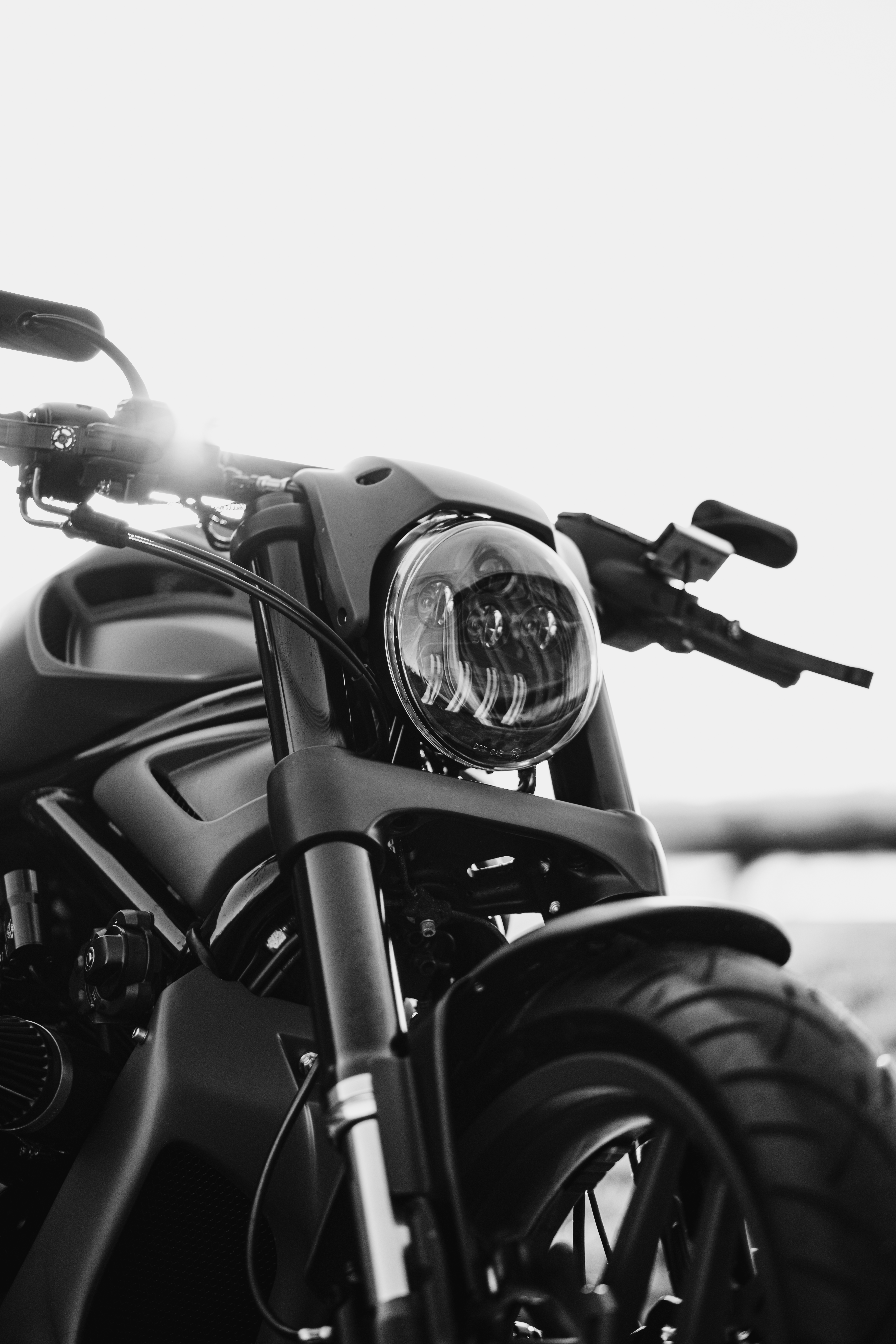 Photo by brunovdkraan