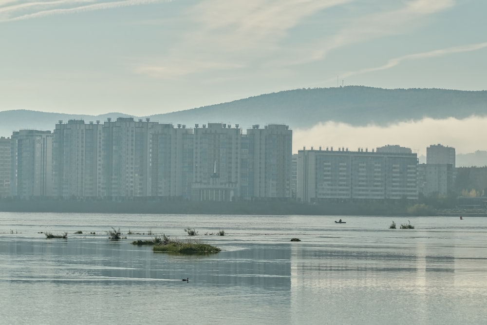 um corpo de água com edifícios no fundo