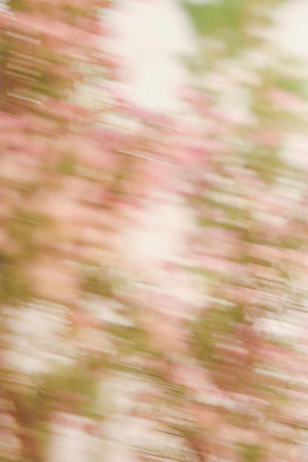 a blurry photo of a tree with pink flowers