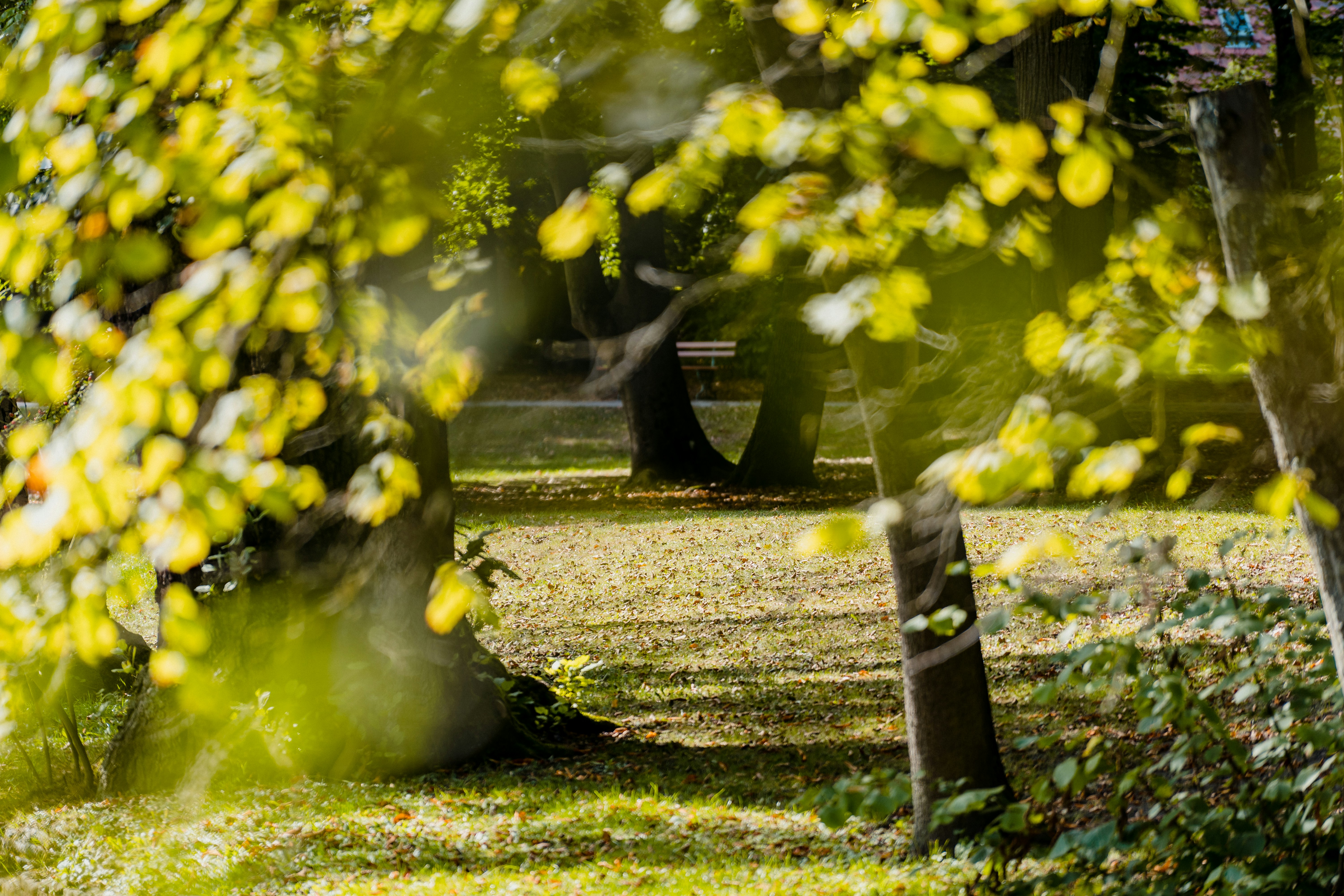 Photo by julianhochgesang