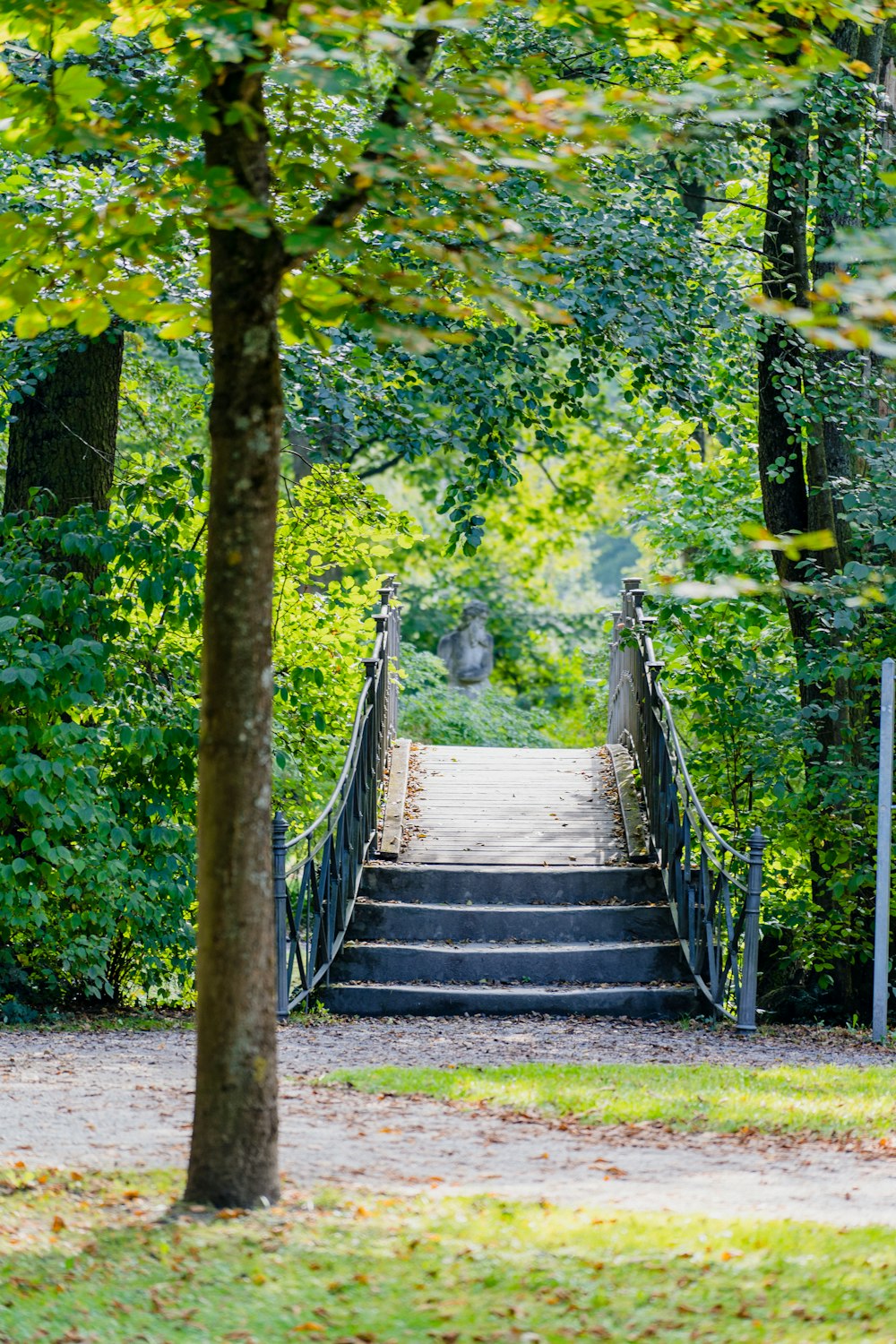 a wooden bridge in the middle of a forest