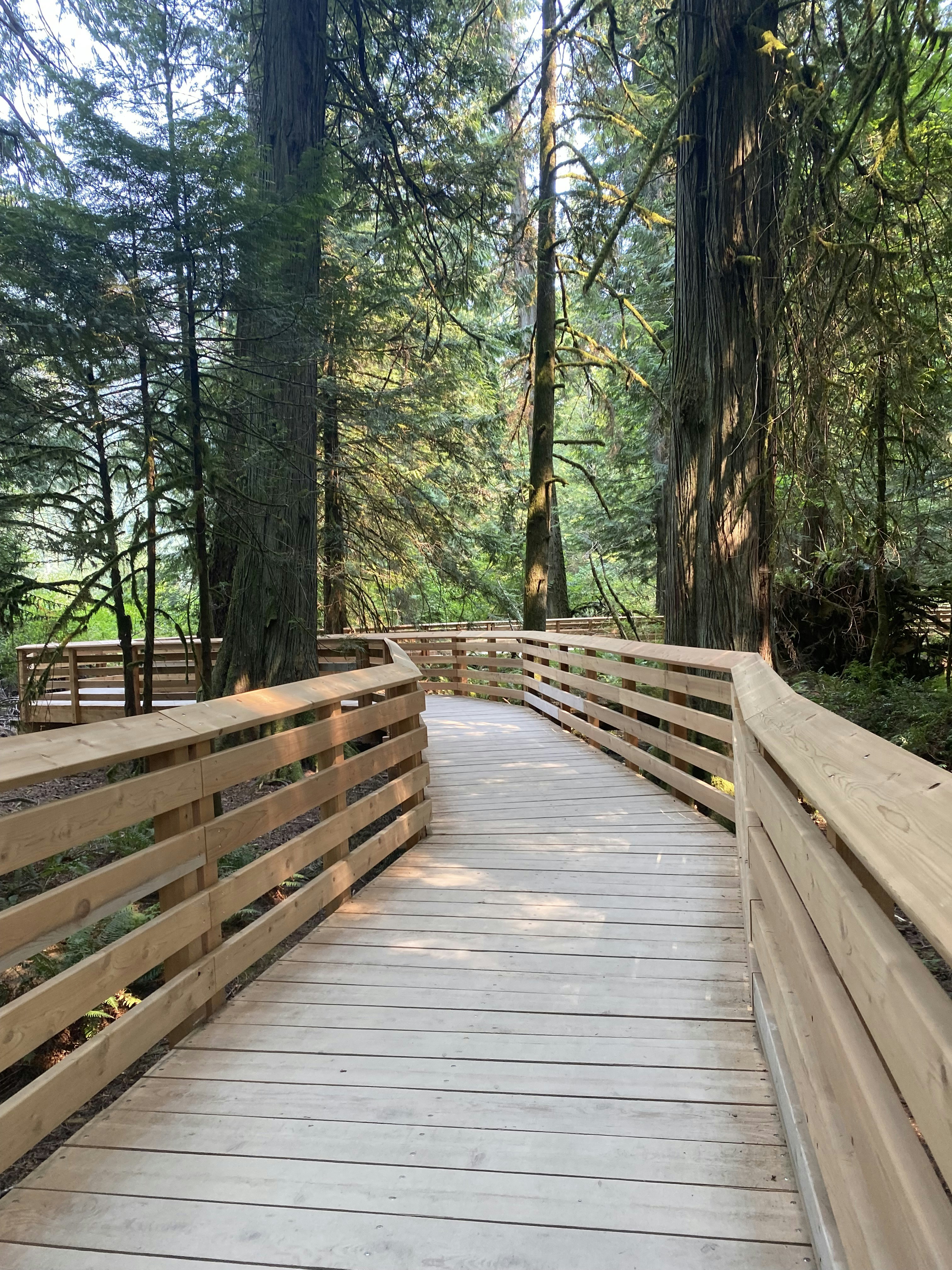 Photo by evelyndorey