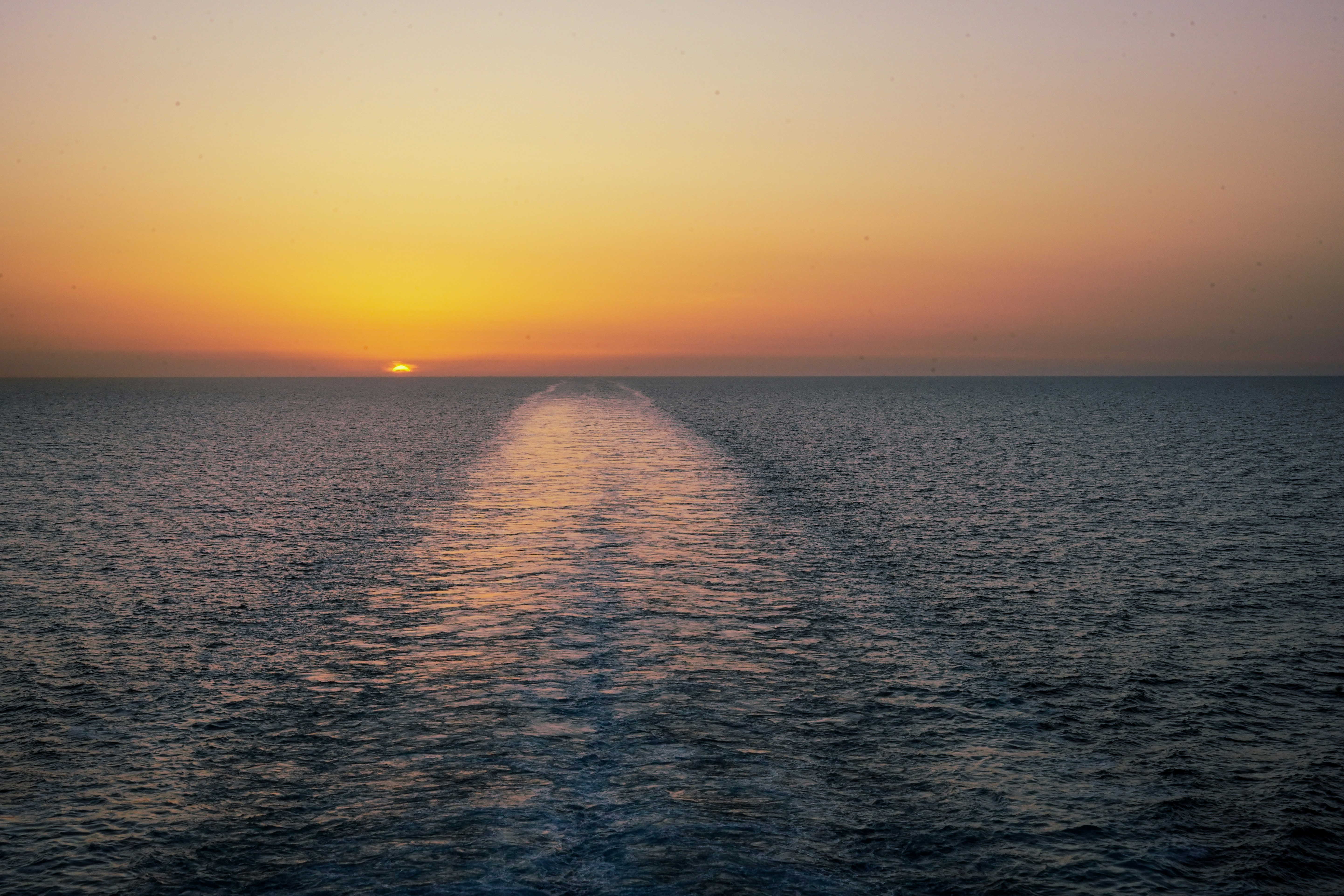 Photo by danielcachandt