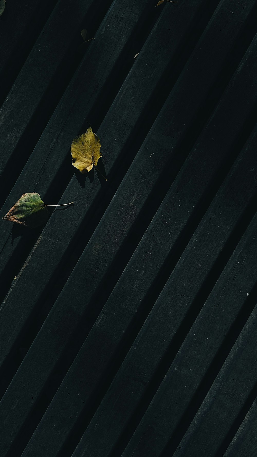 a single yellow leaf on a black bench