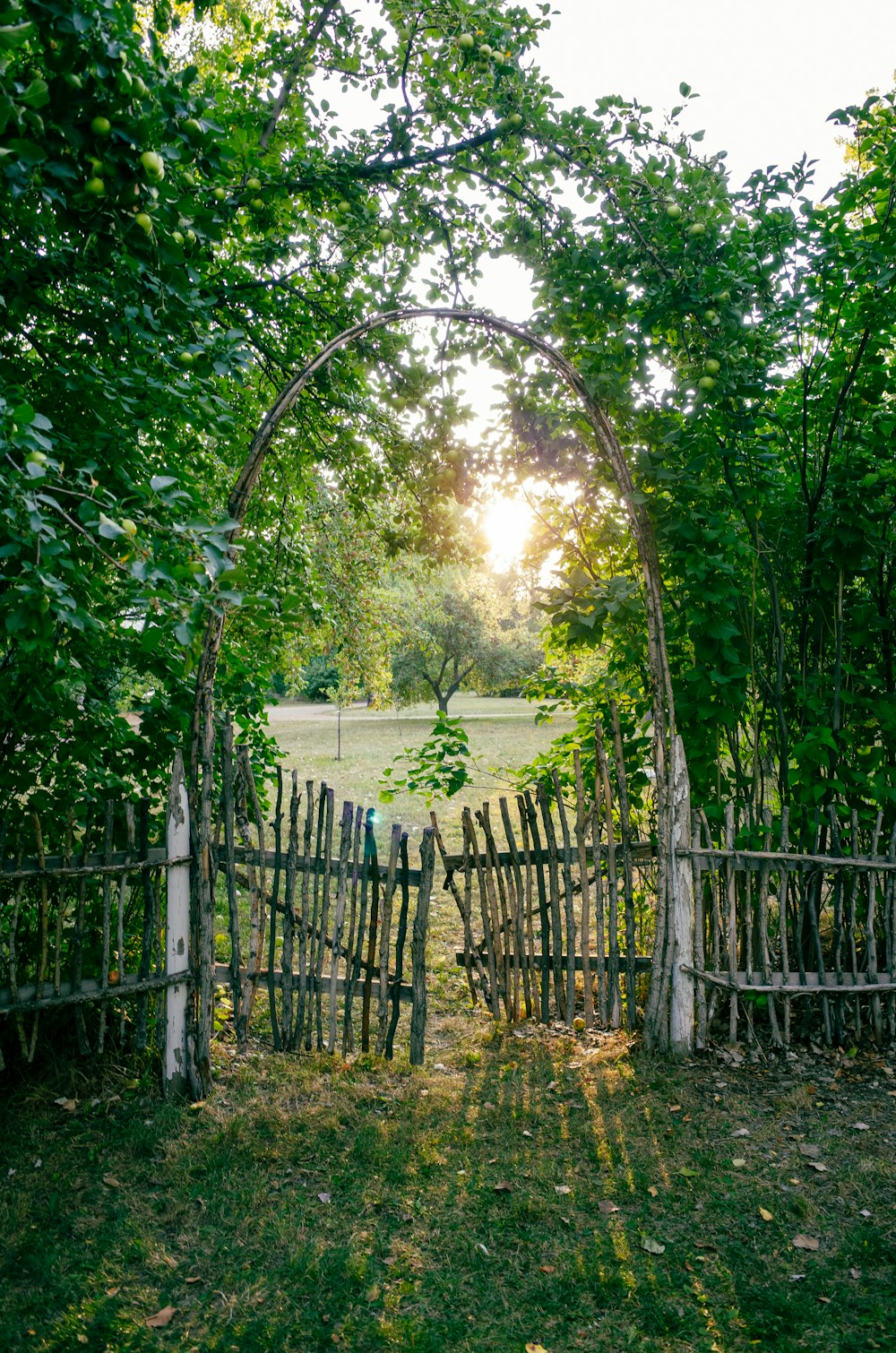 un portail en bois au milieu d’un champ verdoyant