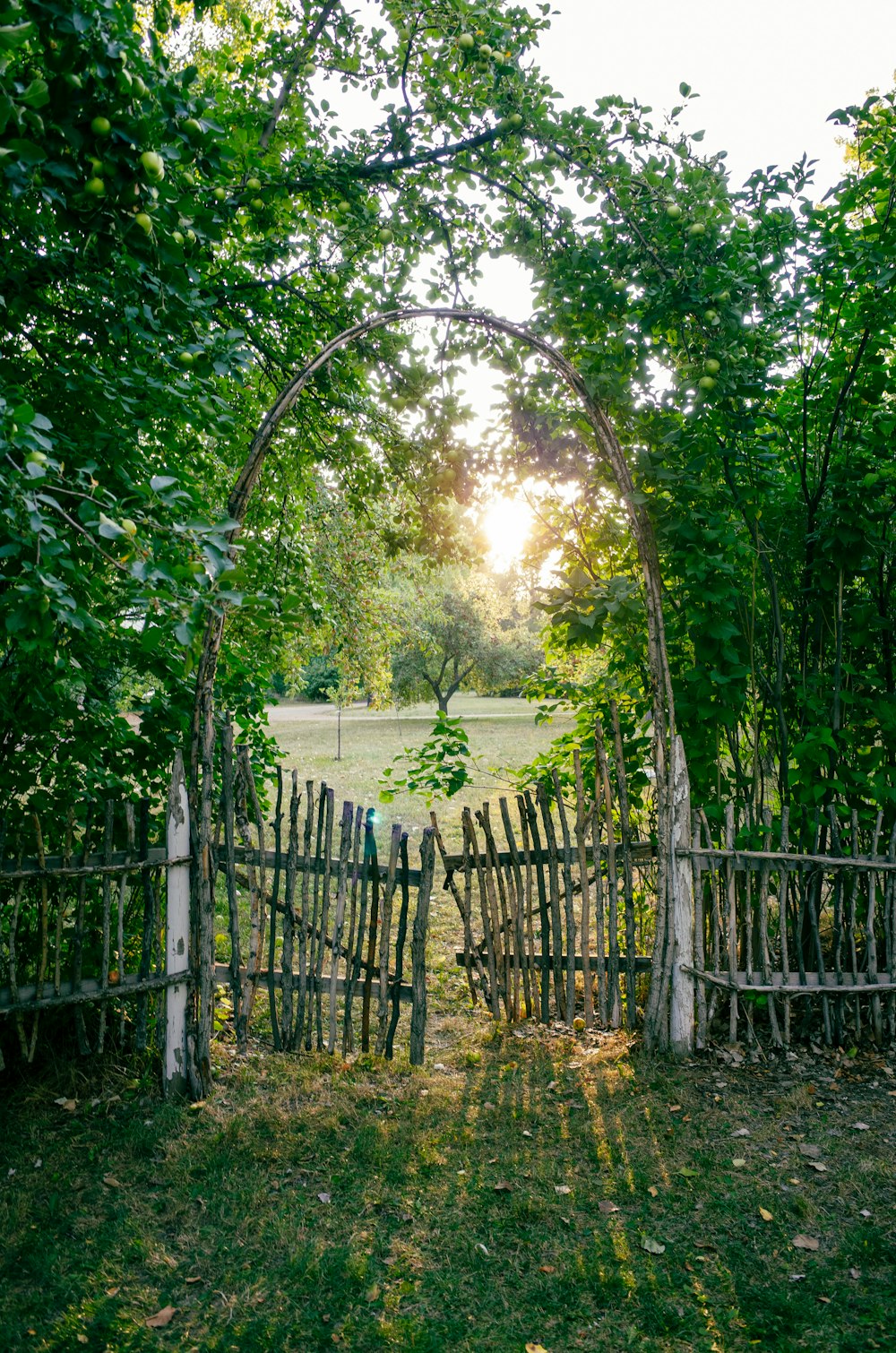 a wooden gate in the middle of a lush green field