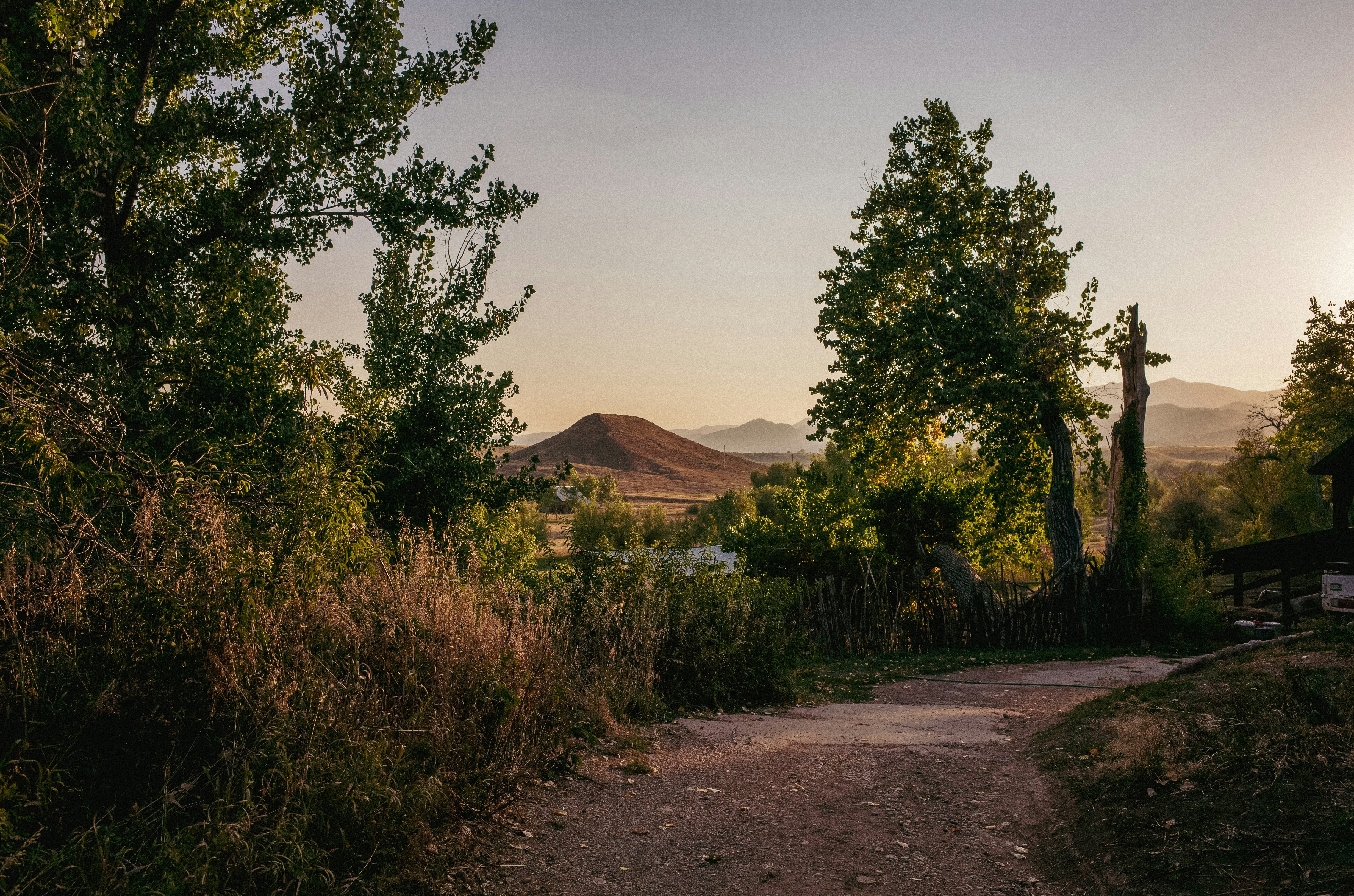 a dirt road with trees and mountains in the background